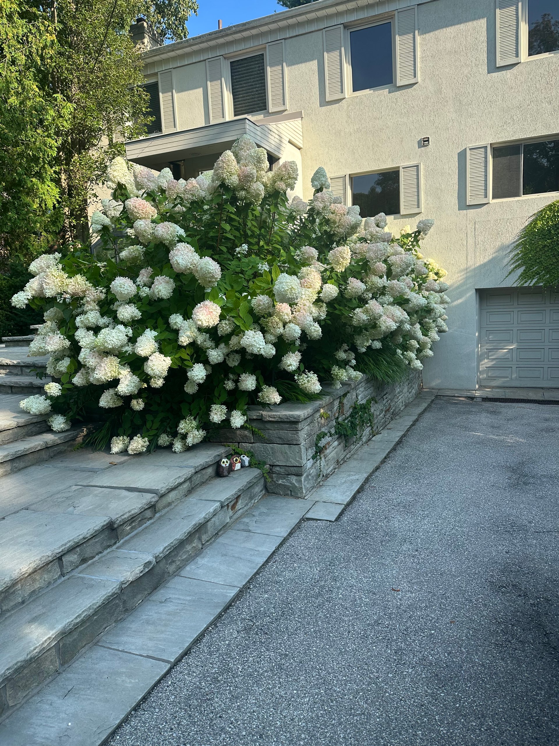 SOLD: Luxurious Country Living In The City