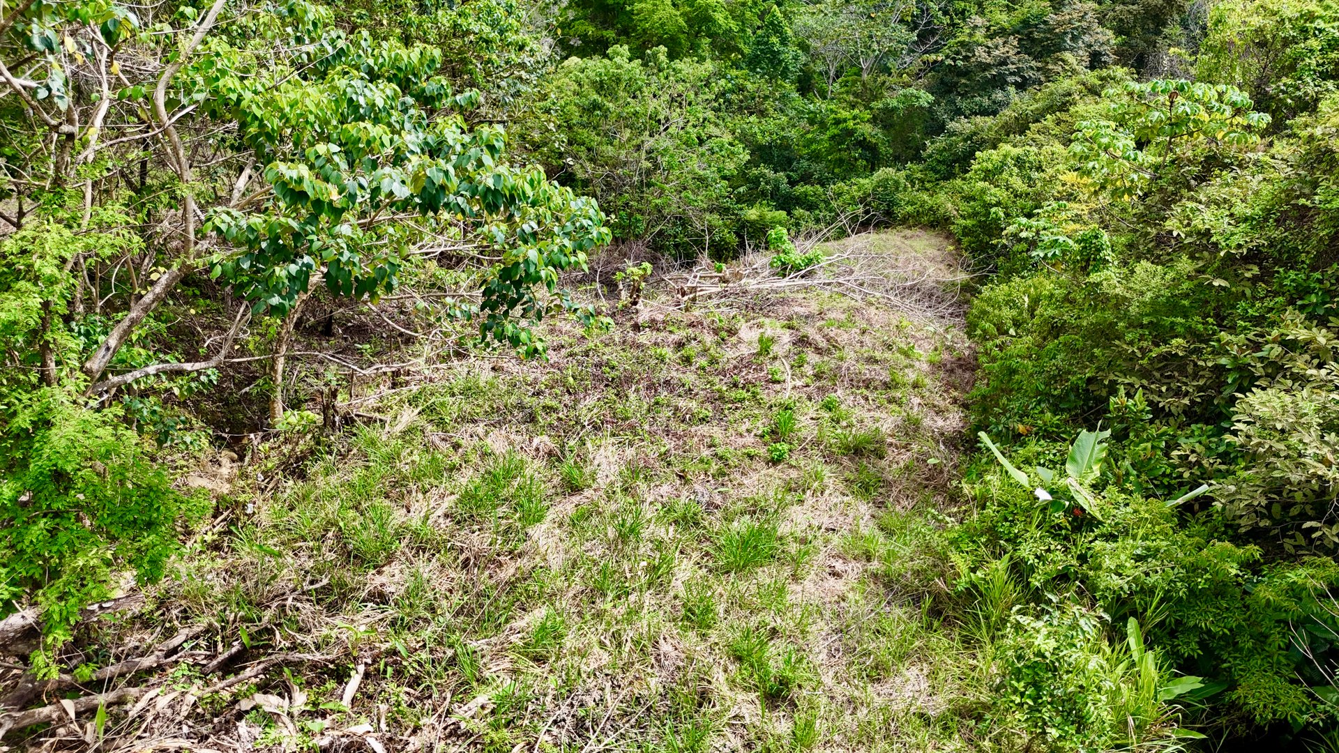 Price Reduced! Ocean View Lots in San Buenas – Just $70K Each