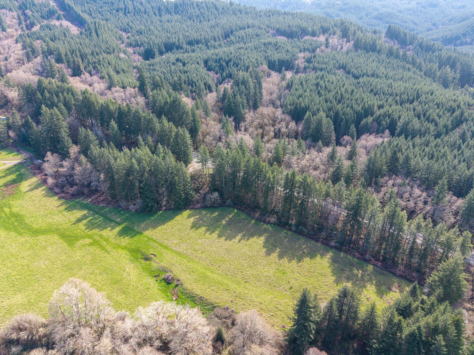 LITTLE ELK TREEFARM