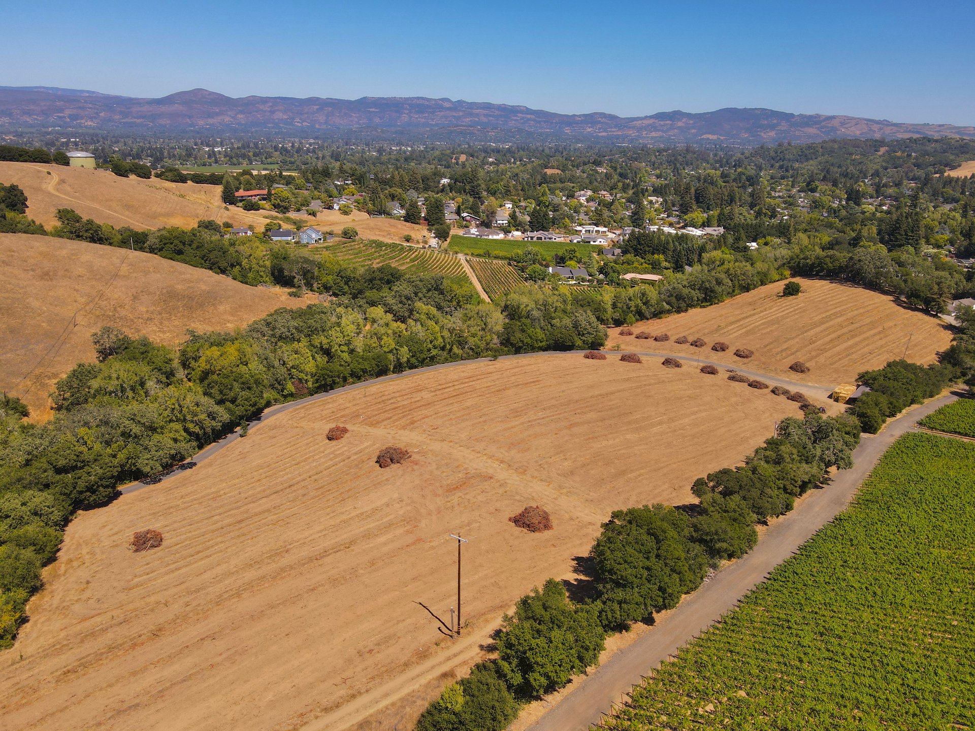 Tambor Vineyard Estate