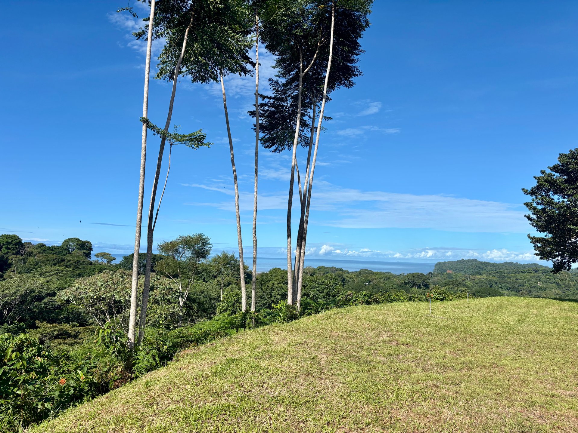 3.41 Acres, Ocean View Property In Ojochal With Legal Water!