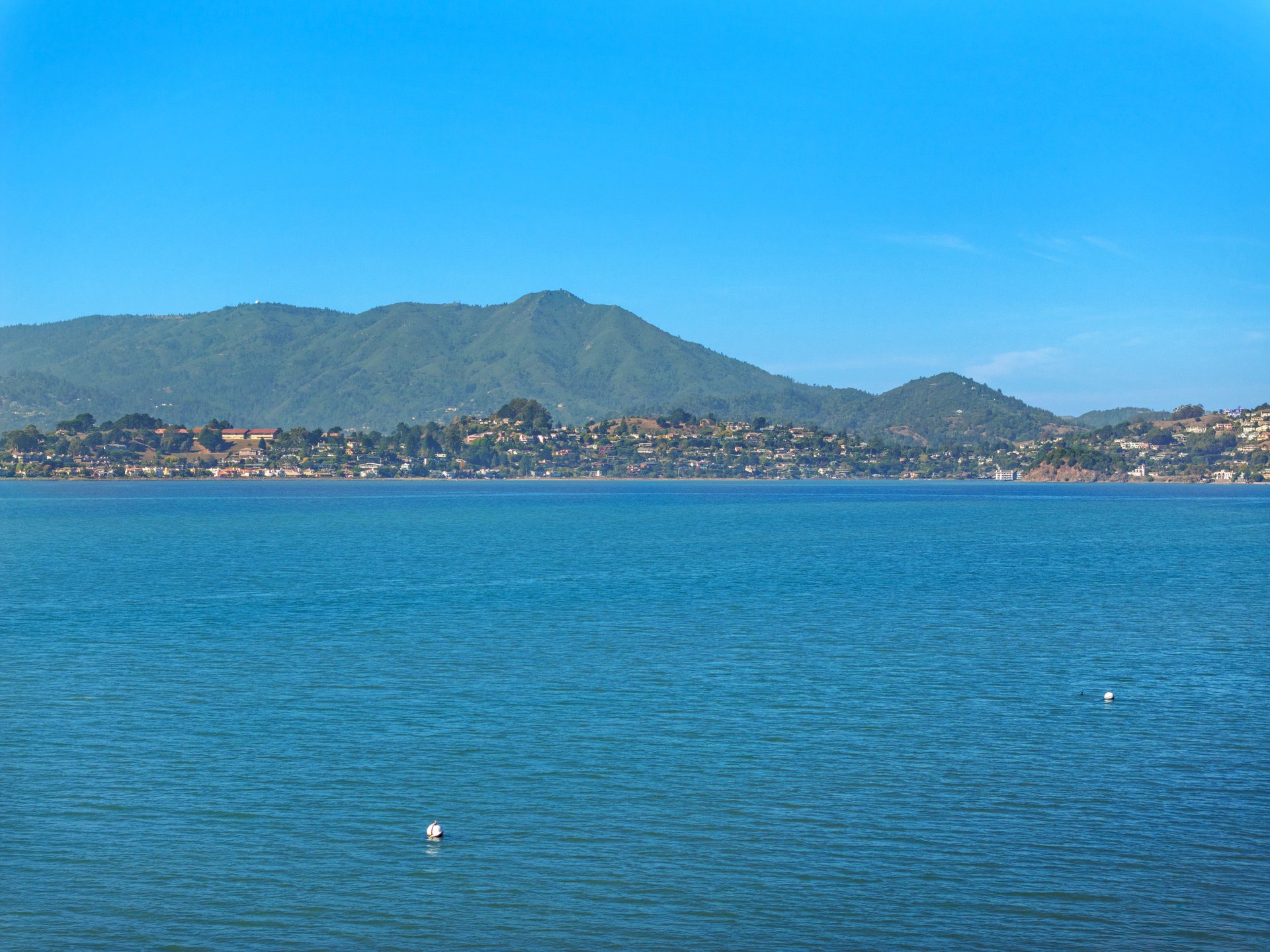 Vacation at Home on the San Francisco Bay