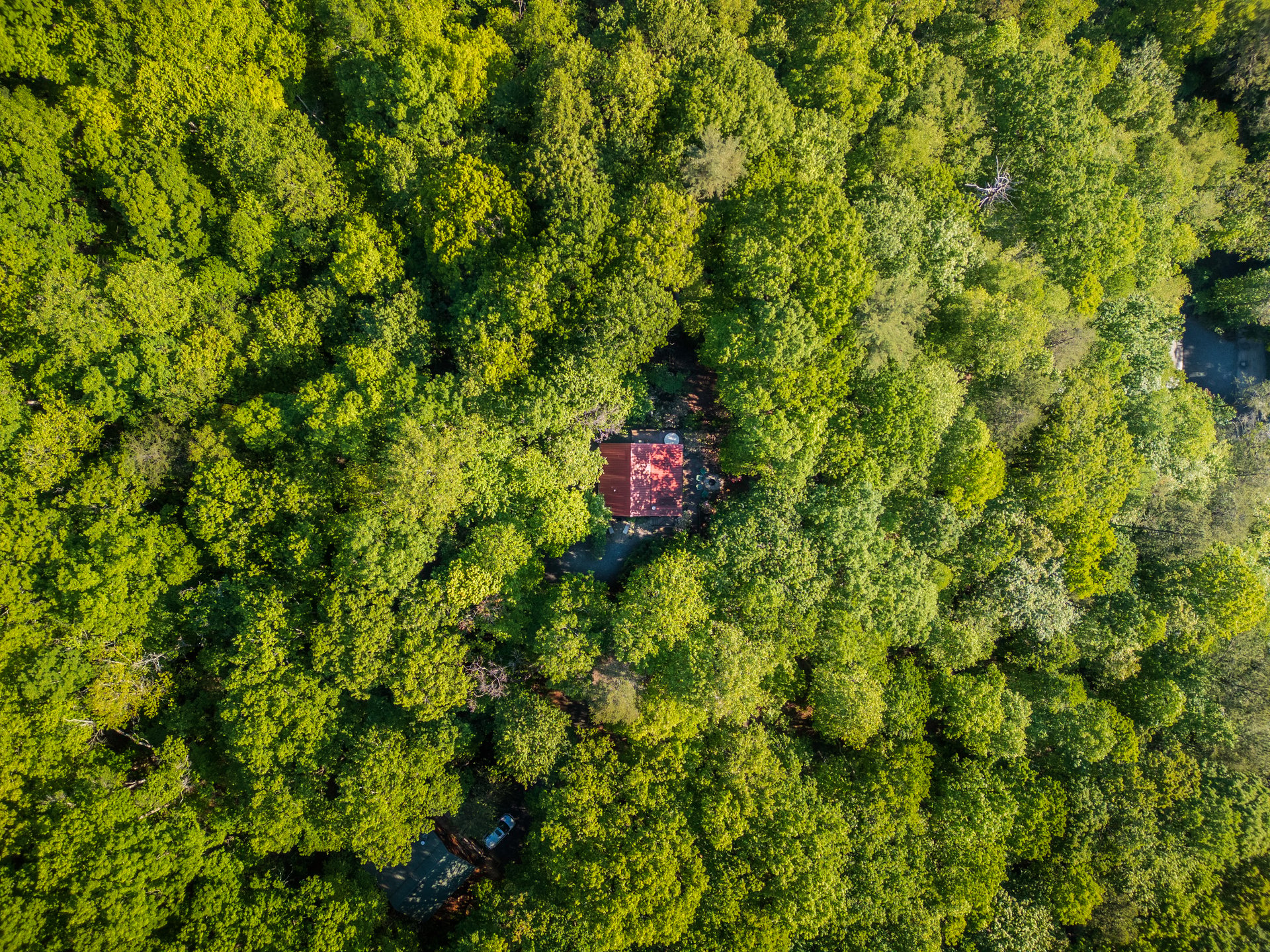 90 Holloway Circle, Blue Ridge, GA 30513
