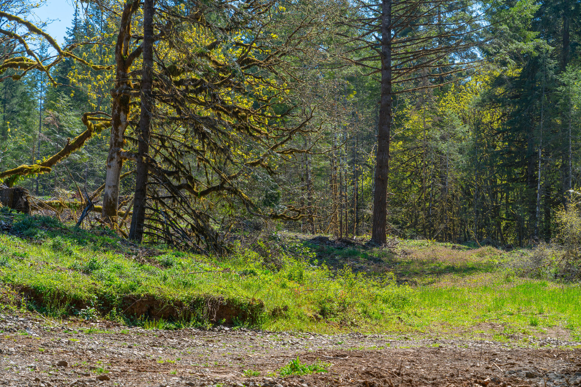 Sharewater Homesite