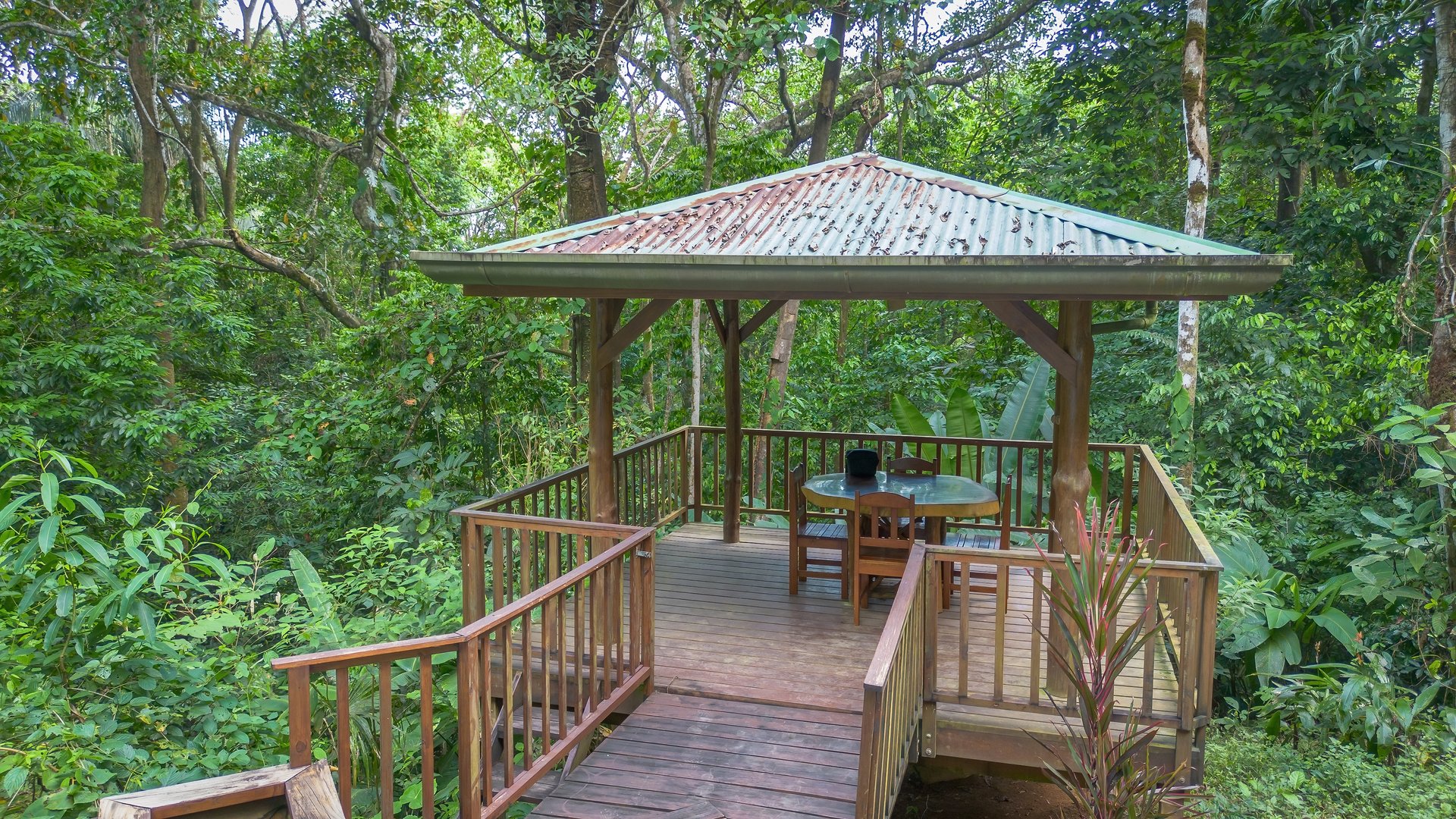 Private Jungle Oasis! 1 Bed, 1 Bath Hatillo Haven