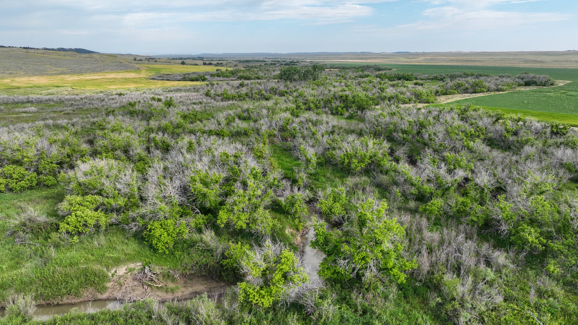 Covey Rise Ranch