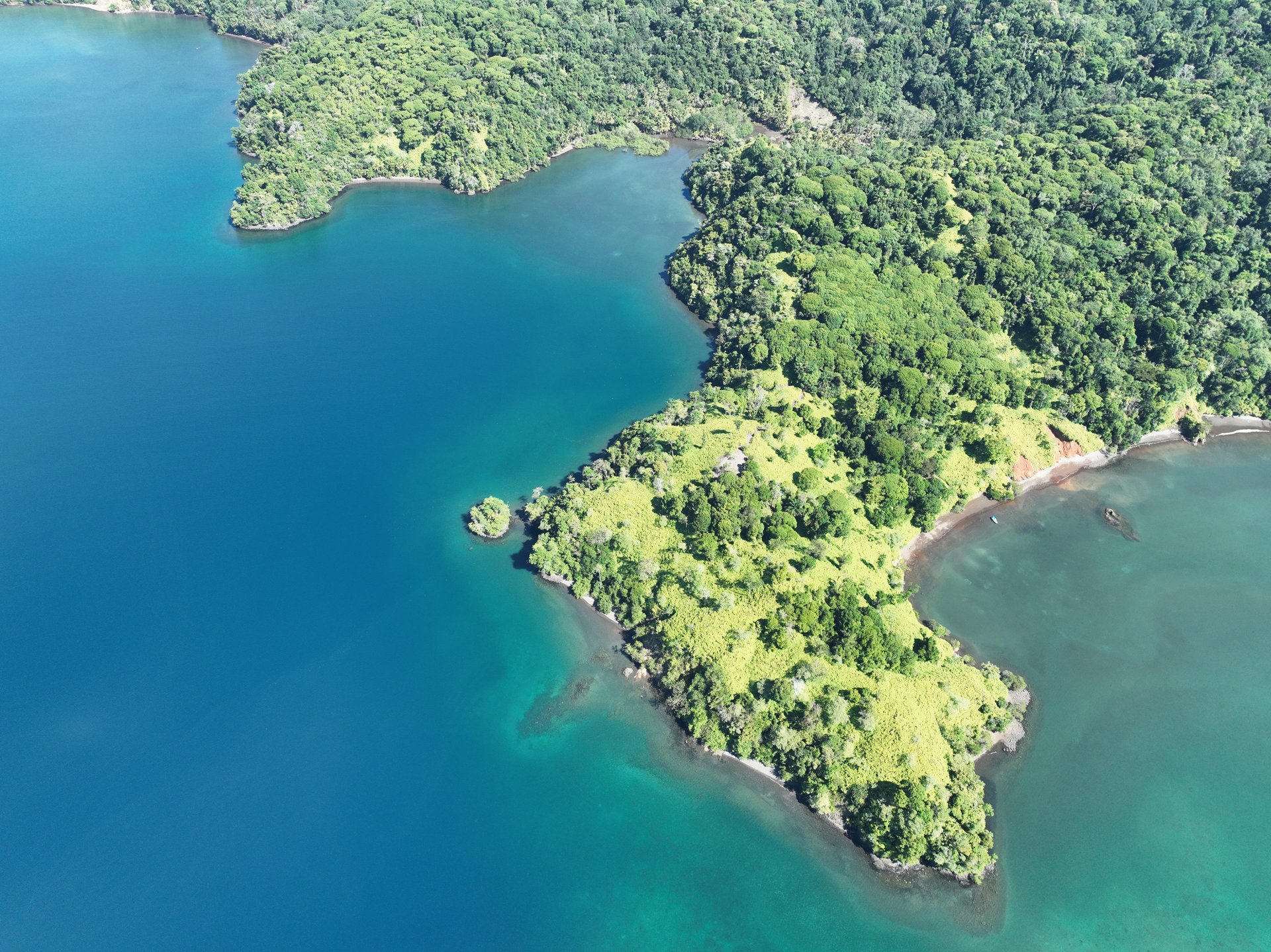Jungle Islands — Los Mogos