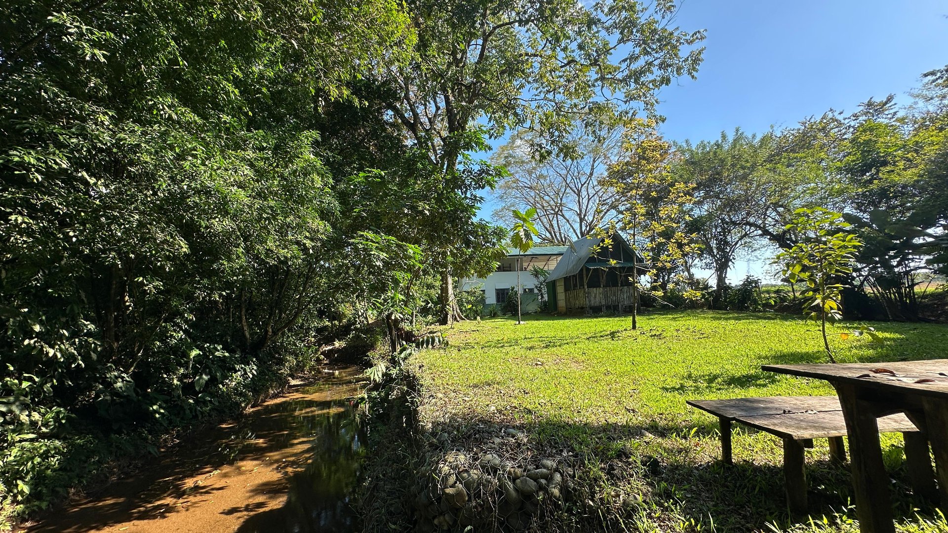 Breeze, Trees, and Monkeys - Your Affordable Costa Rican Haven