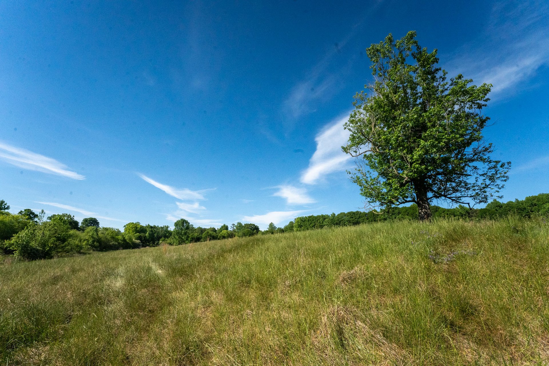 The Ranches at Sandy Creek