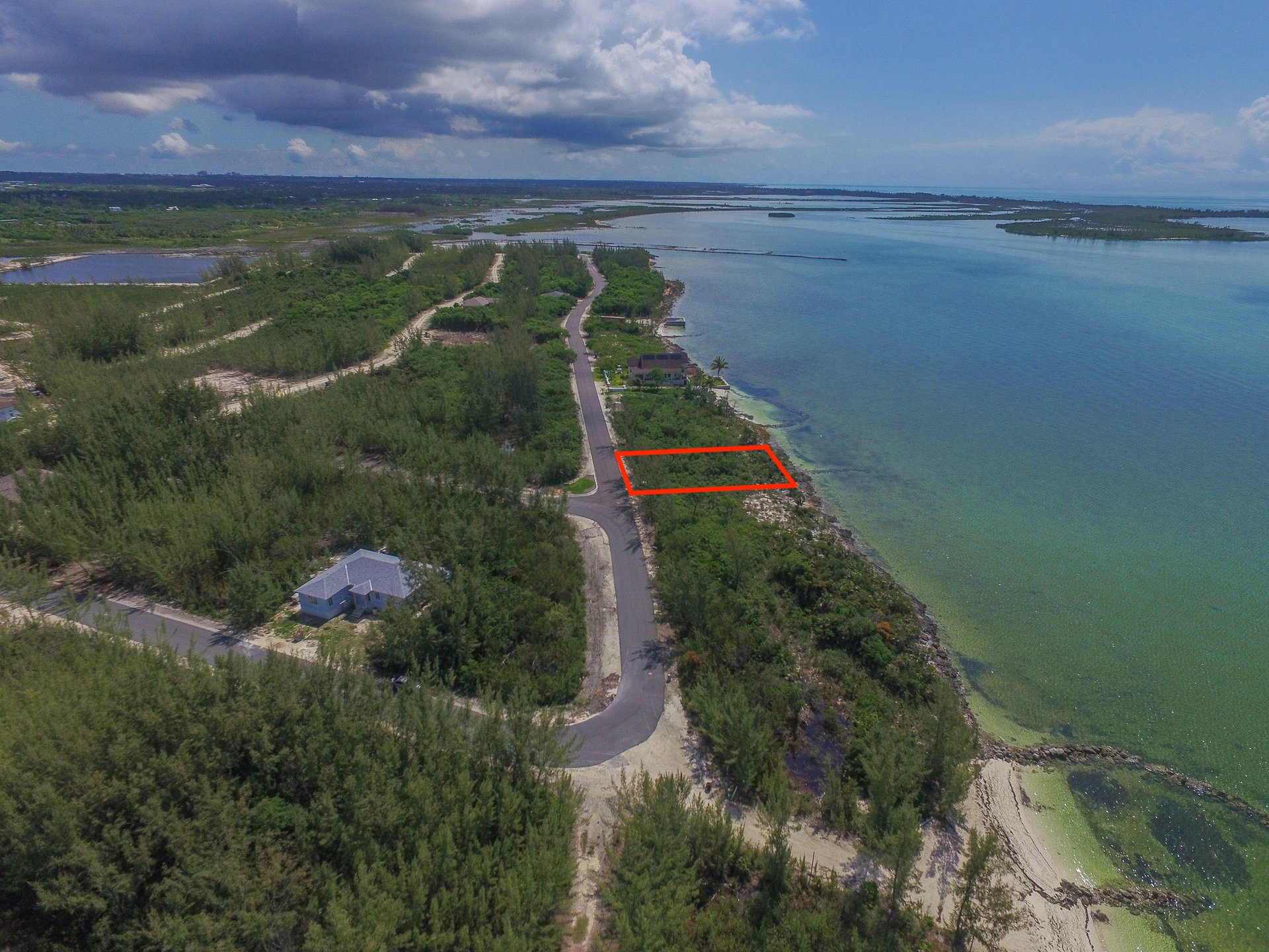 Lot #50 South Seas