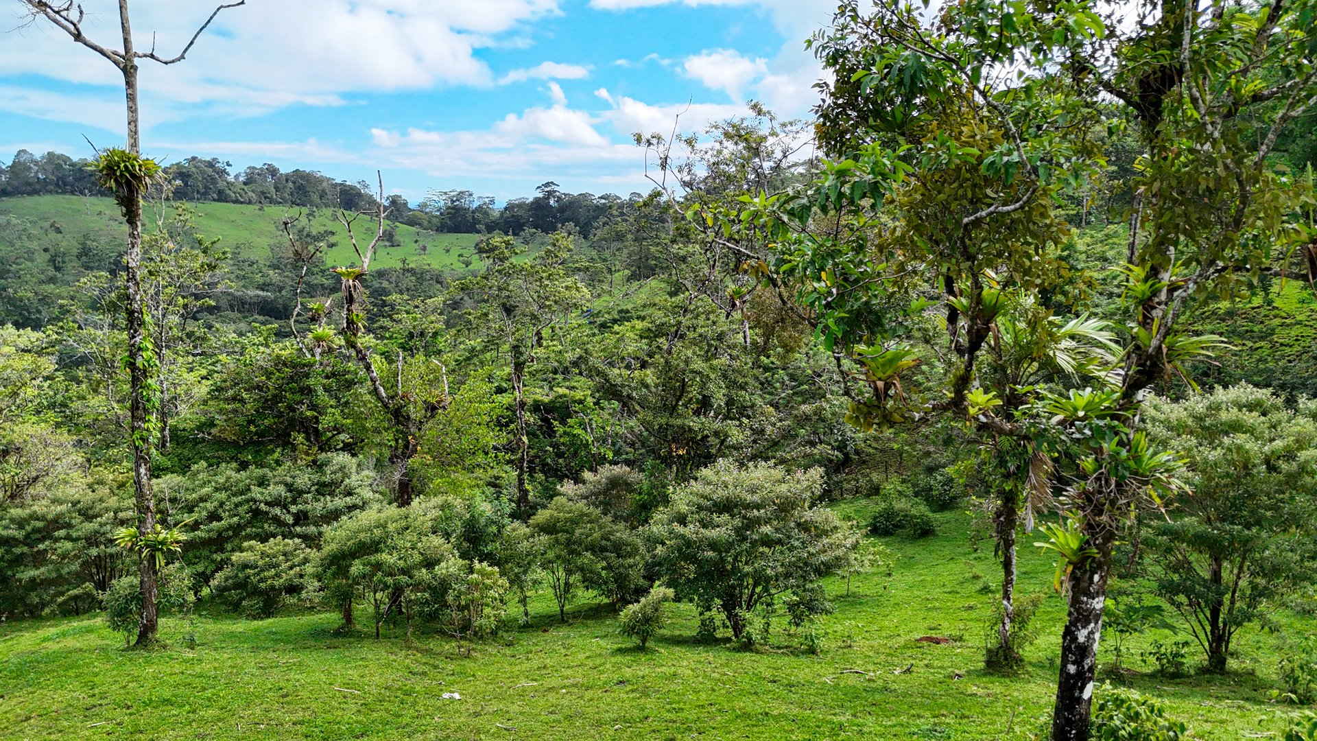 Finca Altamira | Boasting breathtaking panoramic views of the majestic Miravalles Volcano!