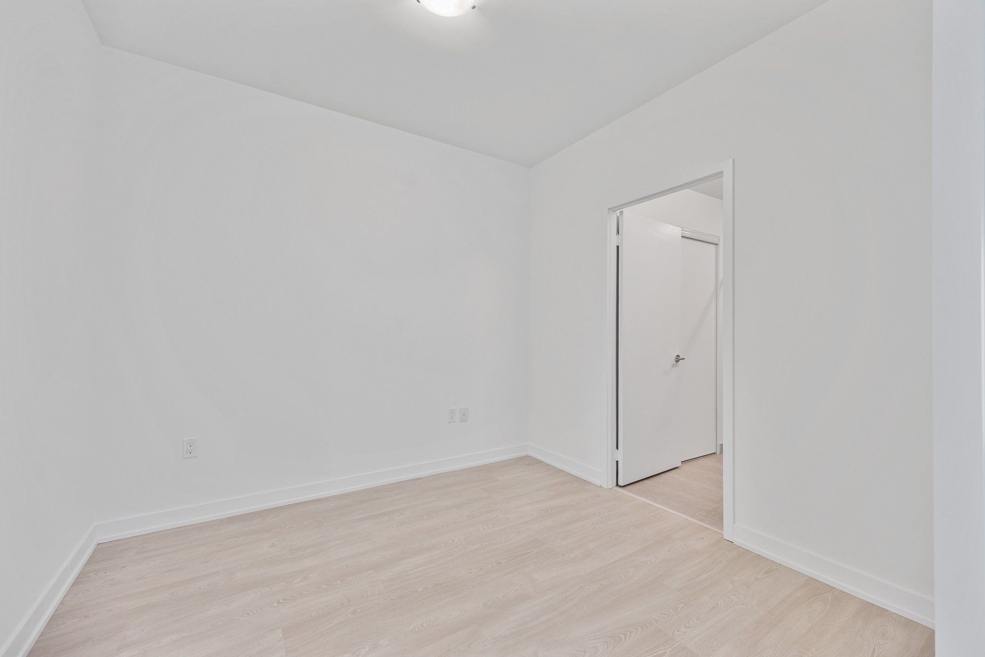 15 Richardson Street 1113
