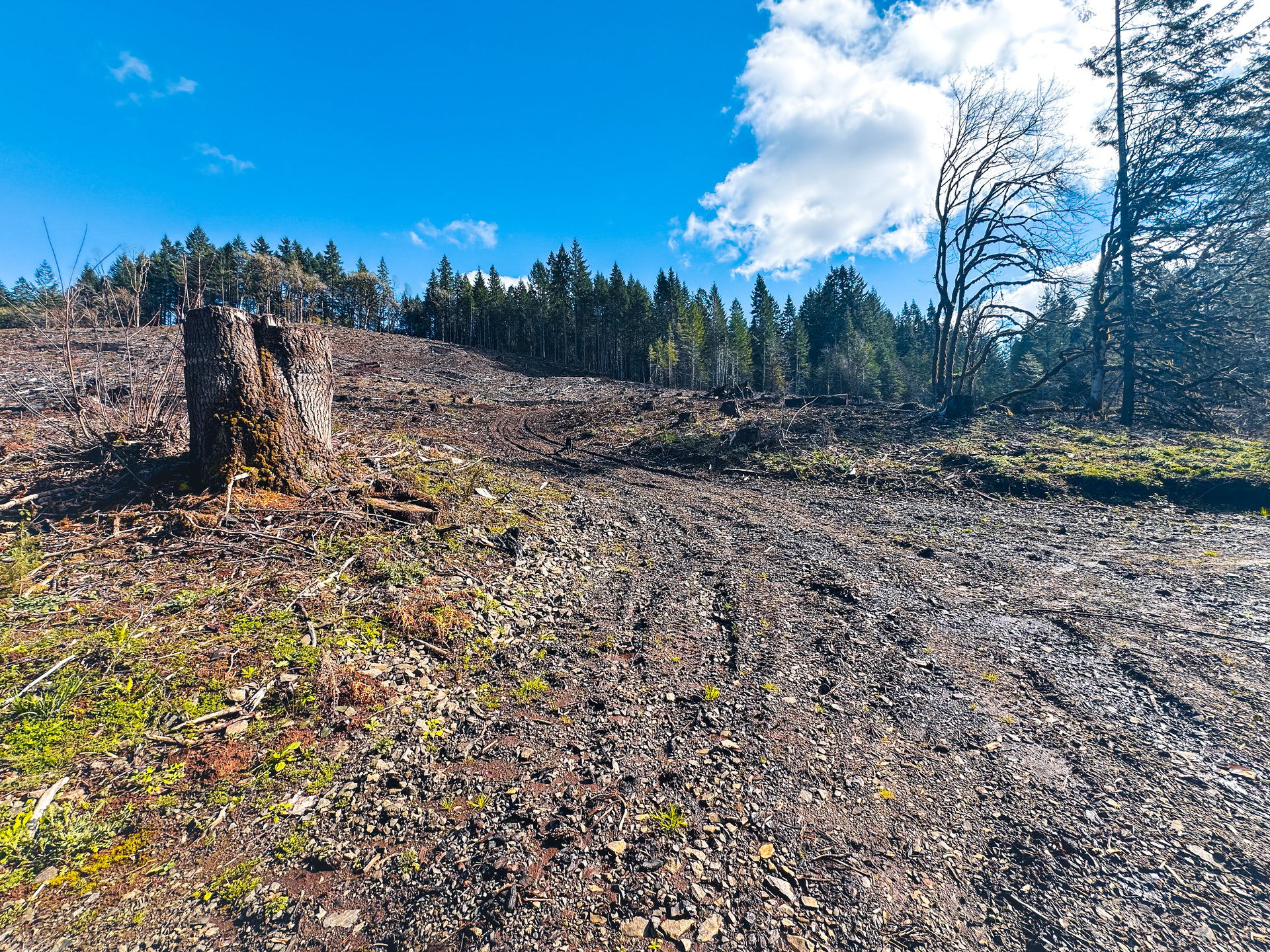 Sharewater Homesite