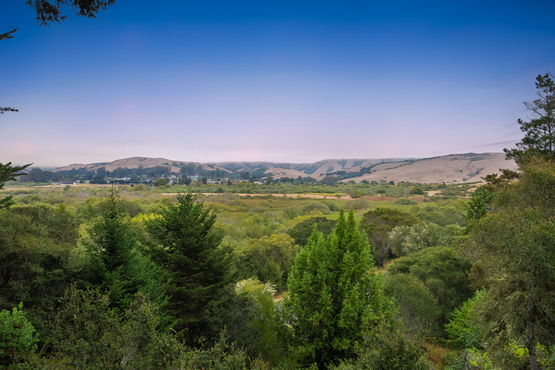 Point Reyes Retreat