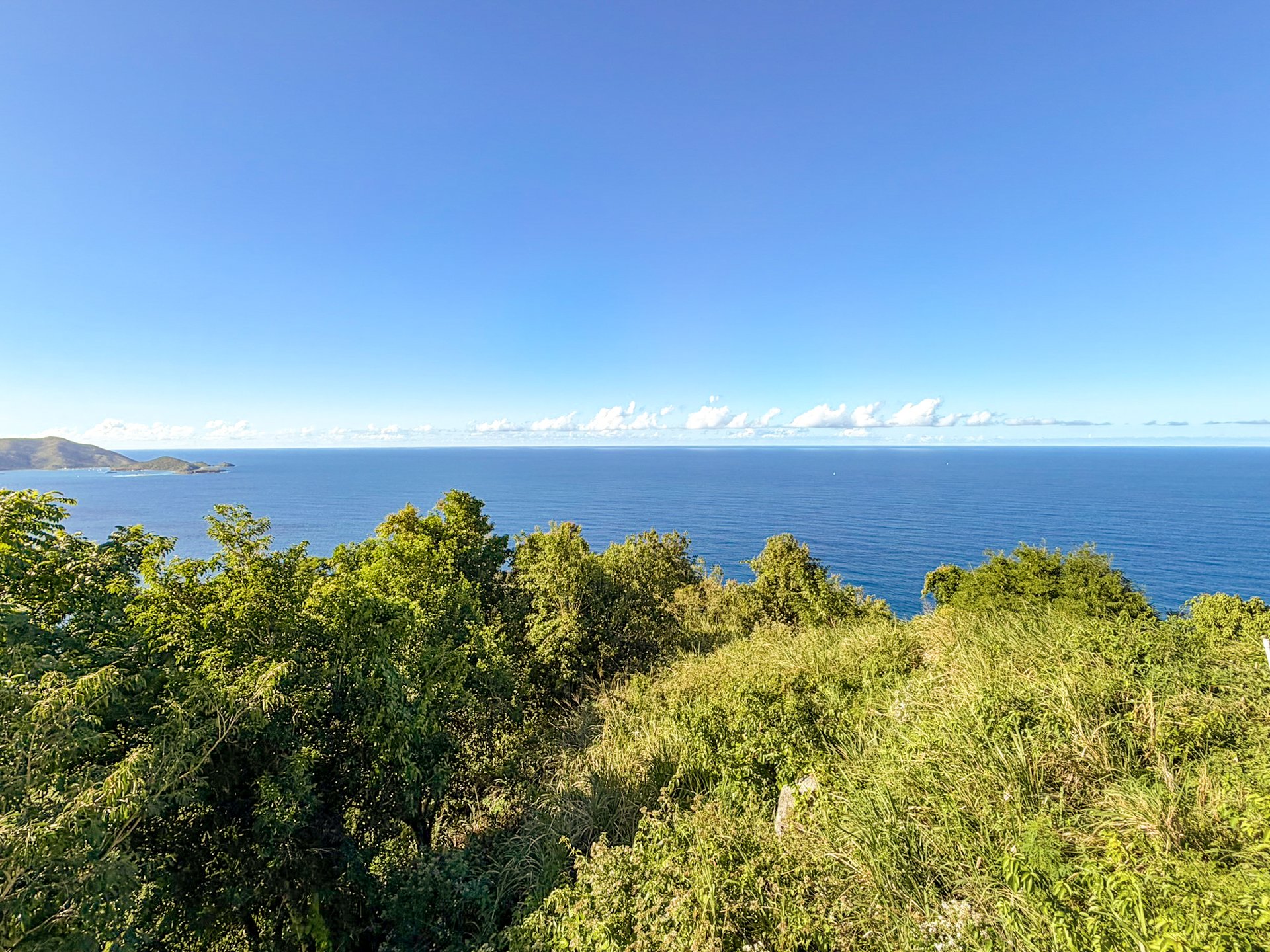 1105 Villa Botanica