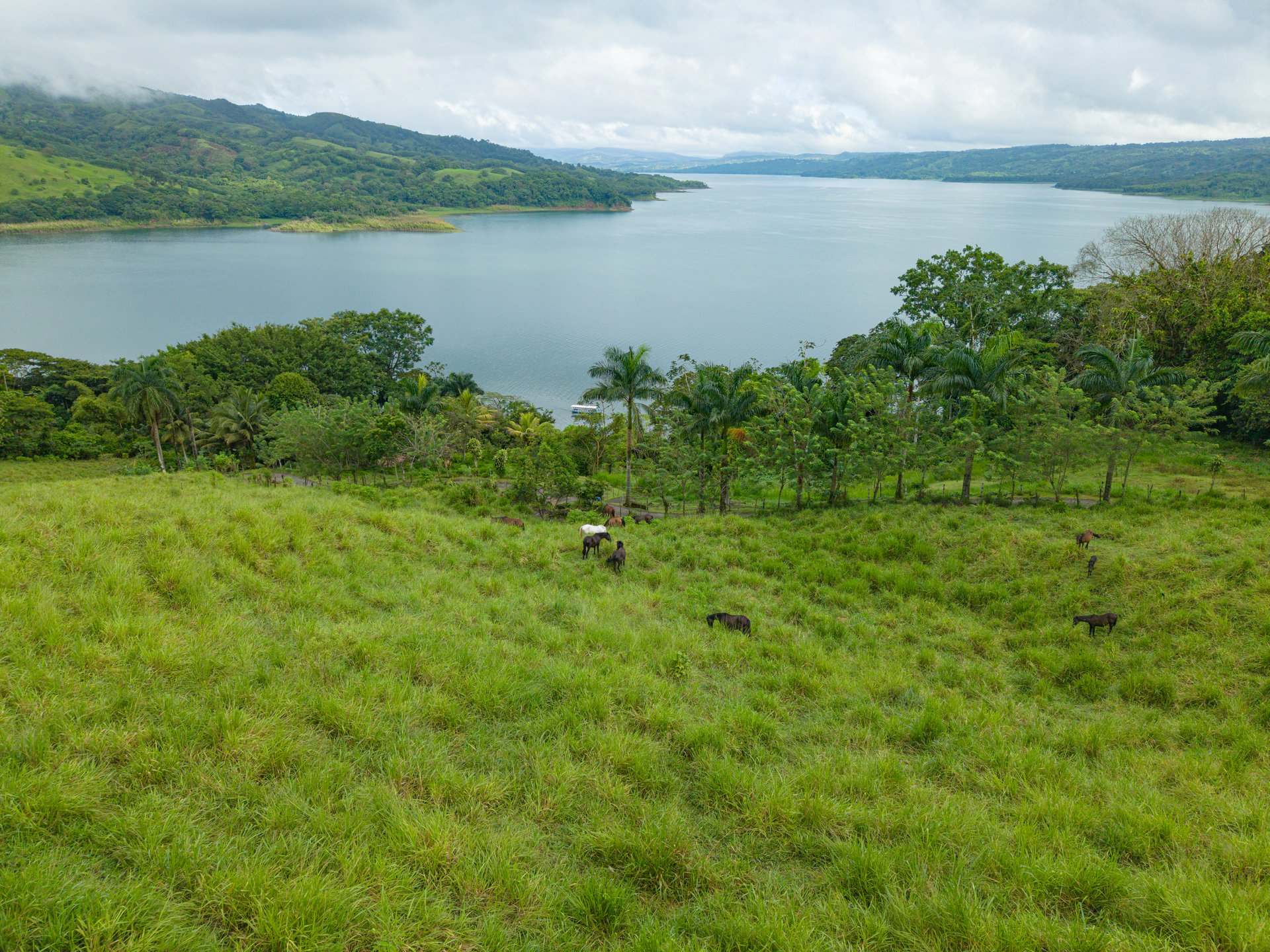 Rio Chiquito Ranch & Villas | 143-Hectare Ranch Estate with Villas, Forest & Full Infrastructure in Tilarán, Costa Rica