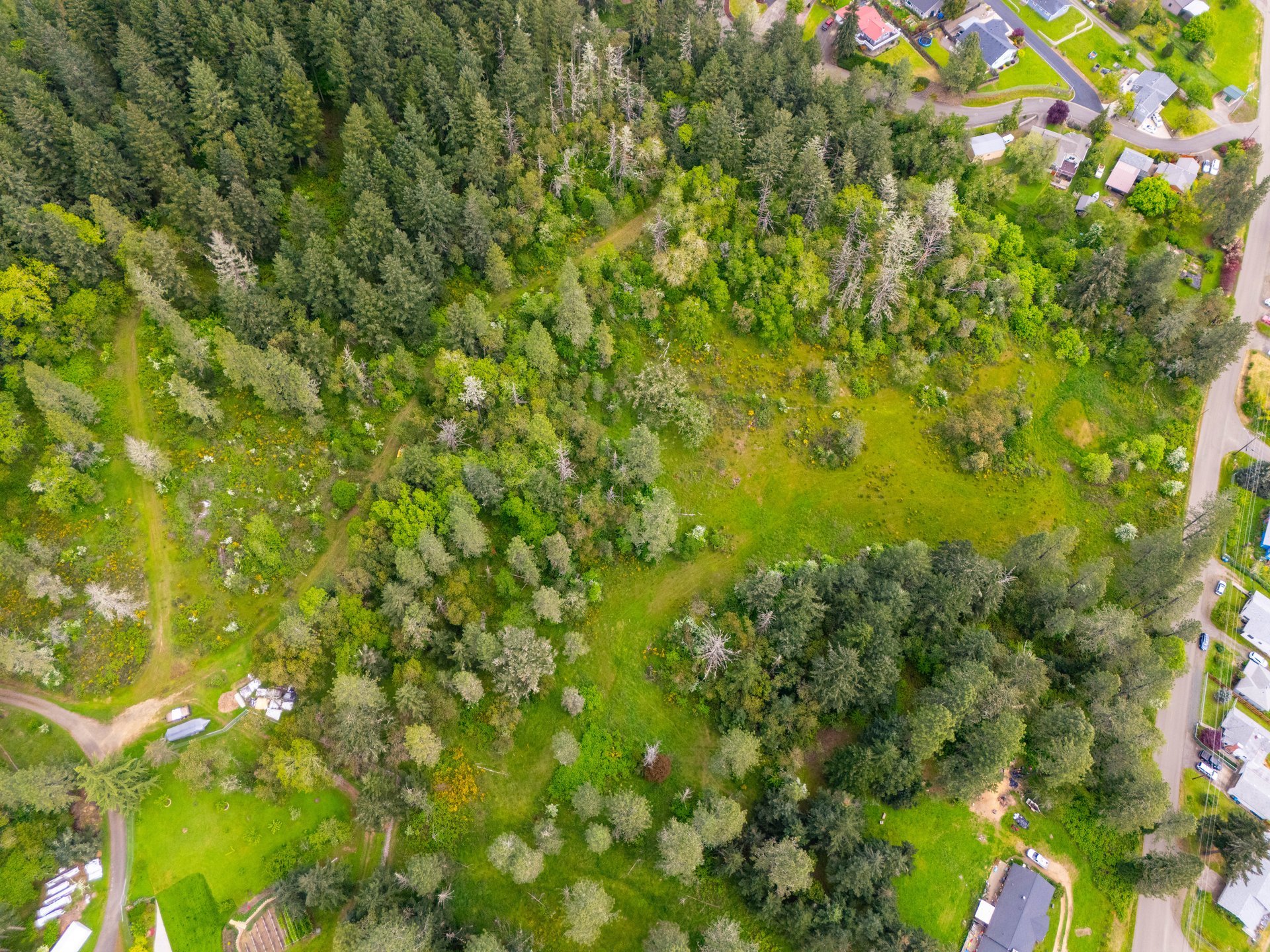 SUTHERLIN WOODLOTS