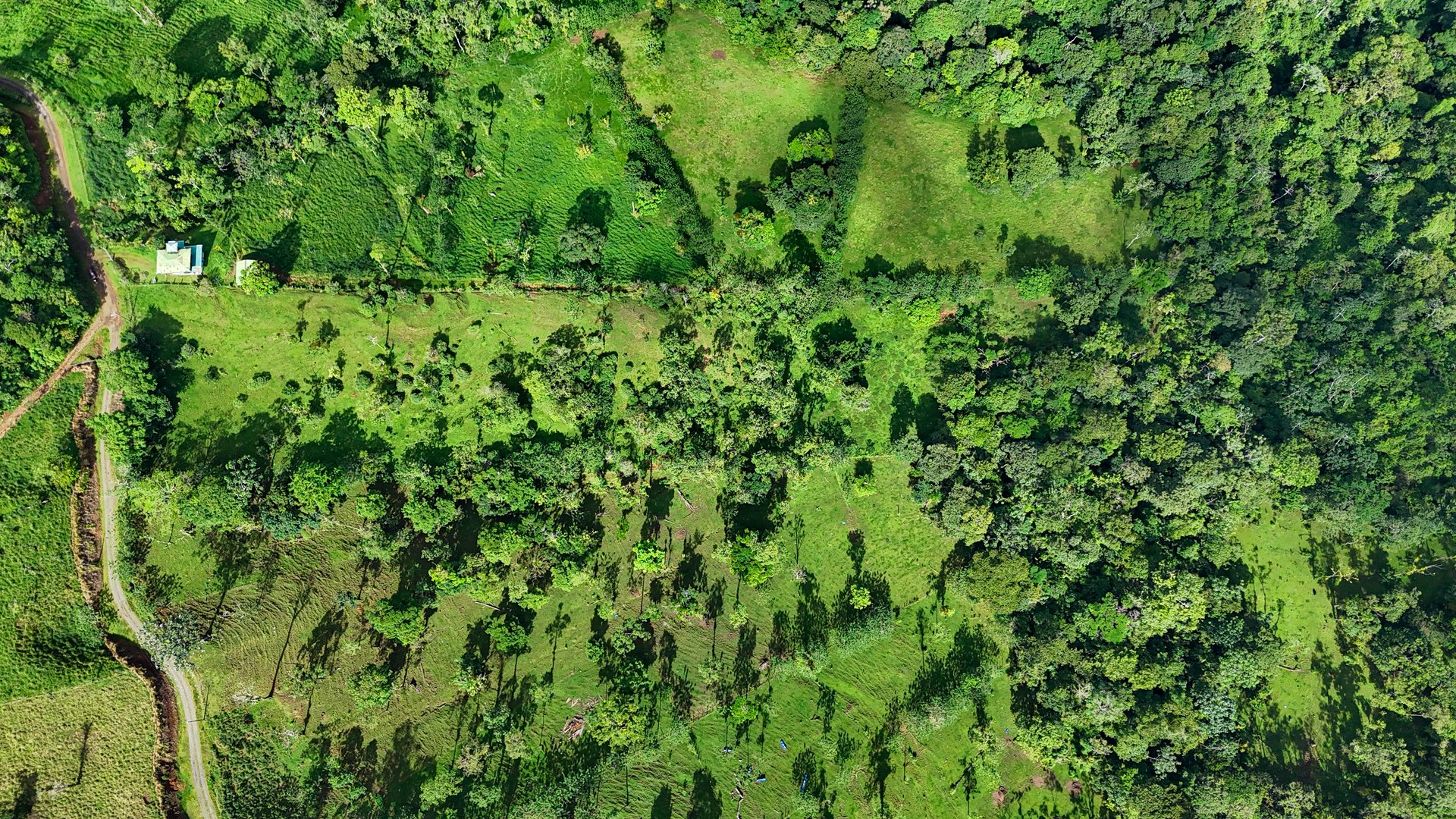 Finca Altamira | Boasting breathtaking panoramic views of the majestic Miravalles Volcano!