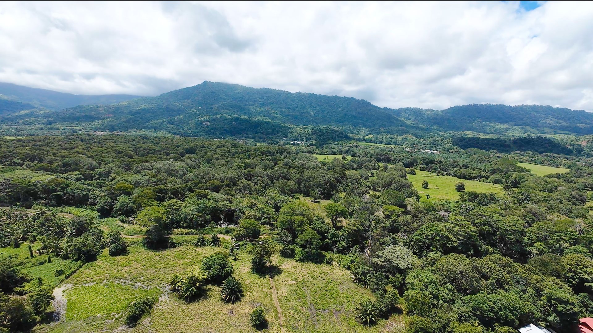 Access Beach Lots -81 Acres-Matapalo