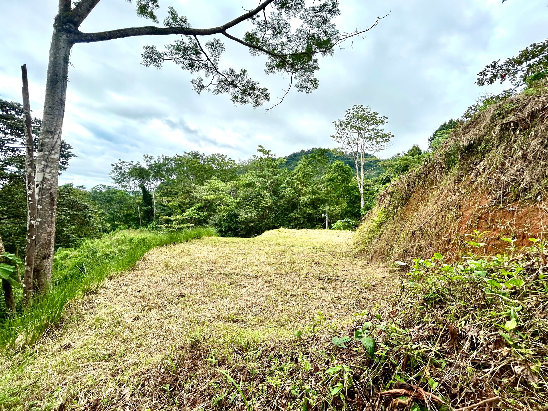 Beautiful Lot in Phase 9 Ojochal, Gated Communuity - NOW WITH LEGAL WATER