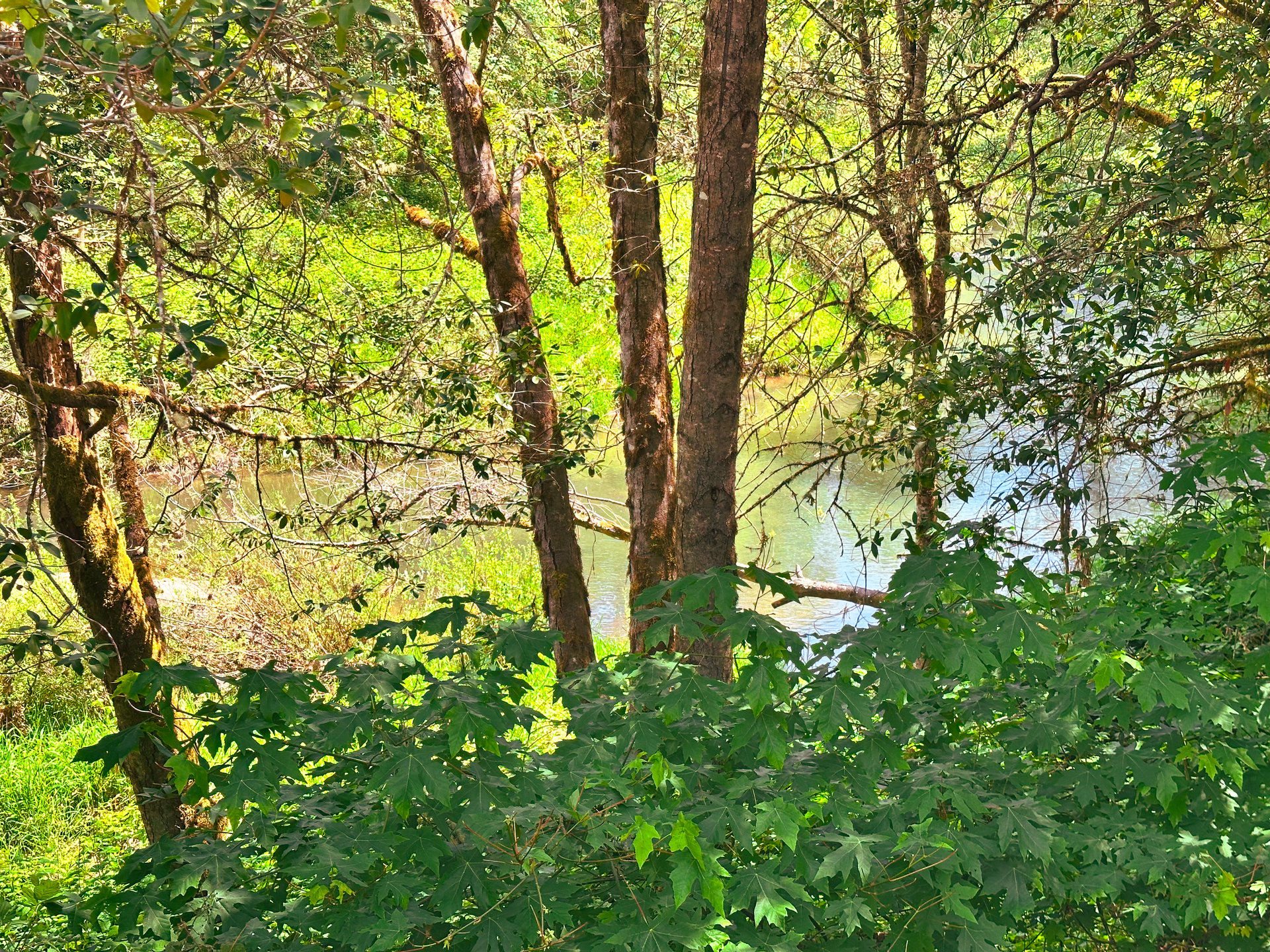 STRICKLAND CANYON HOMESITE