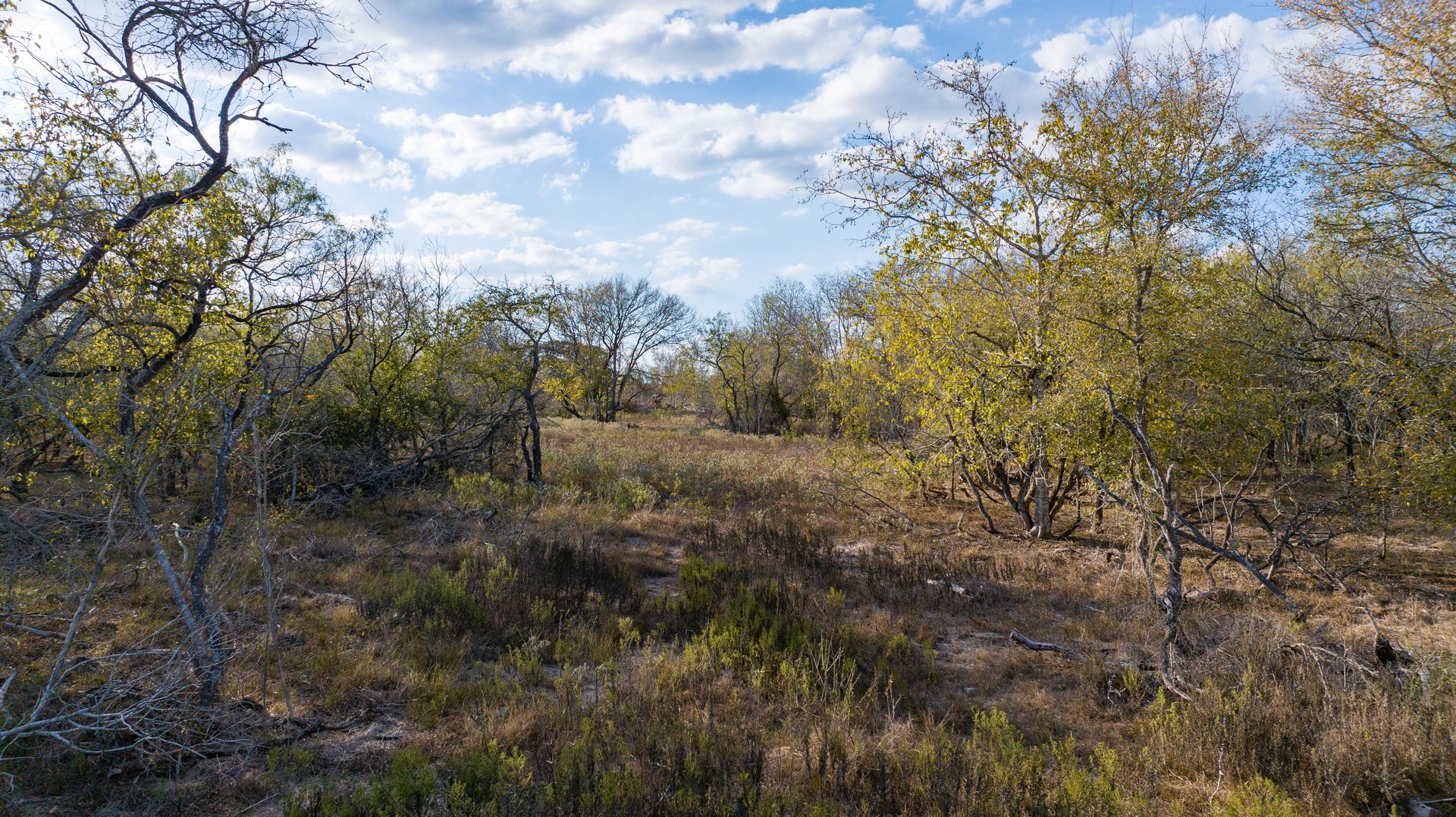 Gonzales County | 104+/- Acres