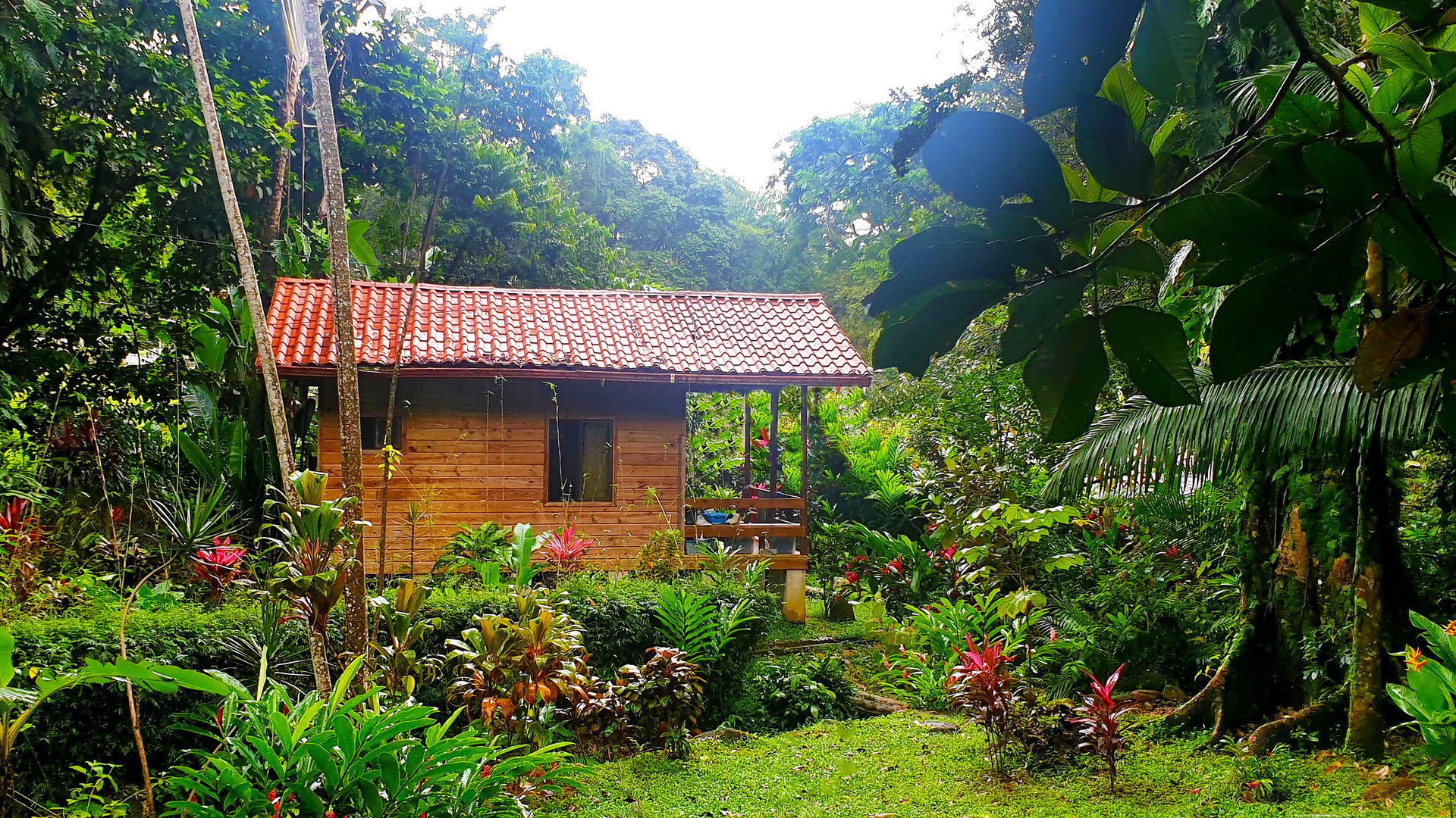 8 Cabinas with Swimming Pool on Lush Jungle Property | Uvita