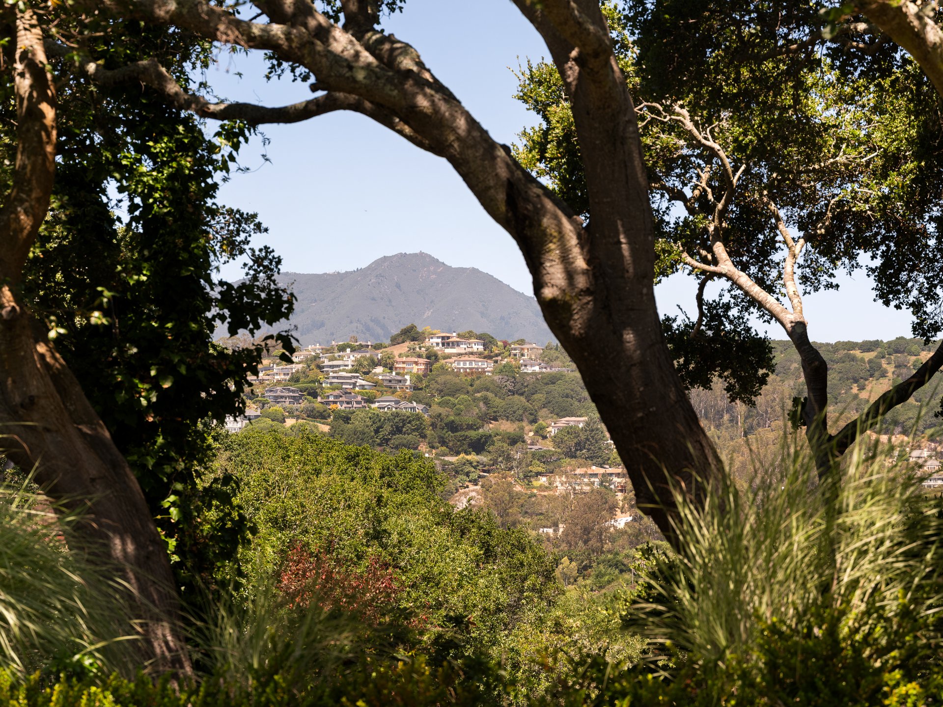 Architectural Modernism, Bay Views, and Exceptional Outdoor Living