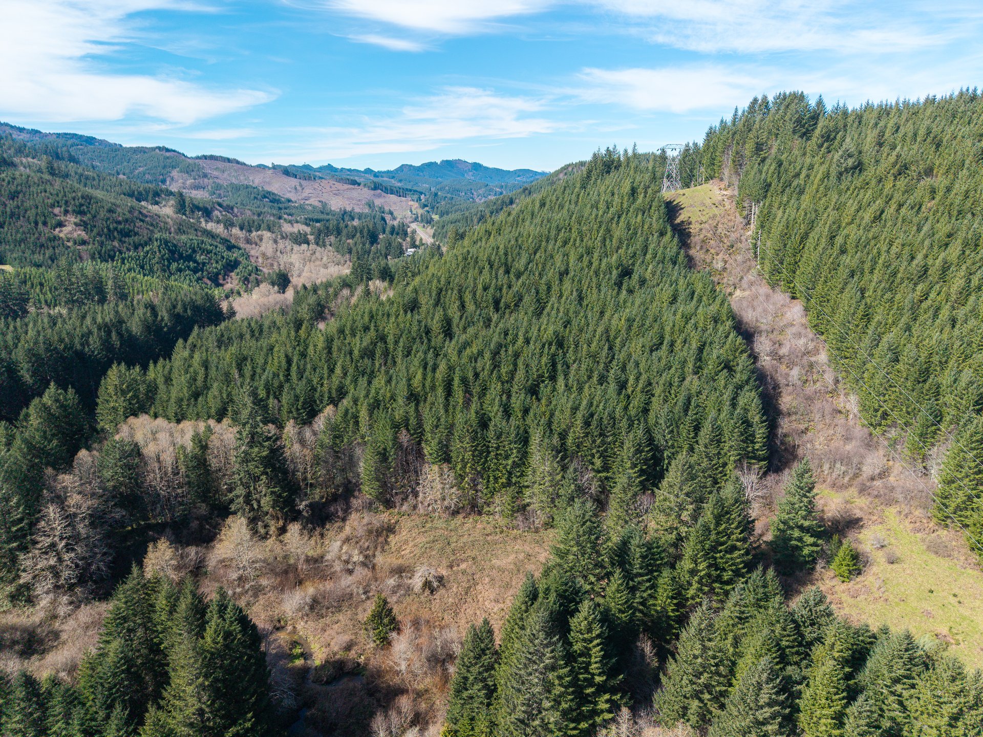 LITTLE ELK TREEFARM
