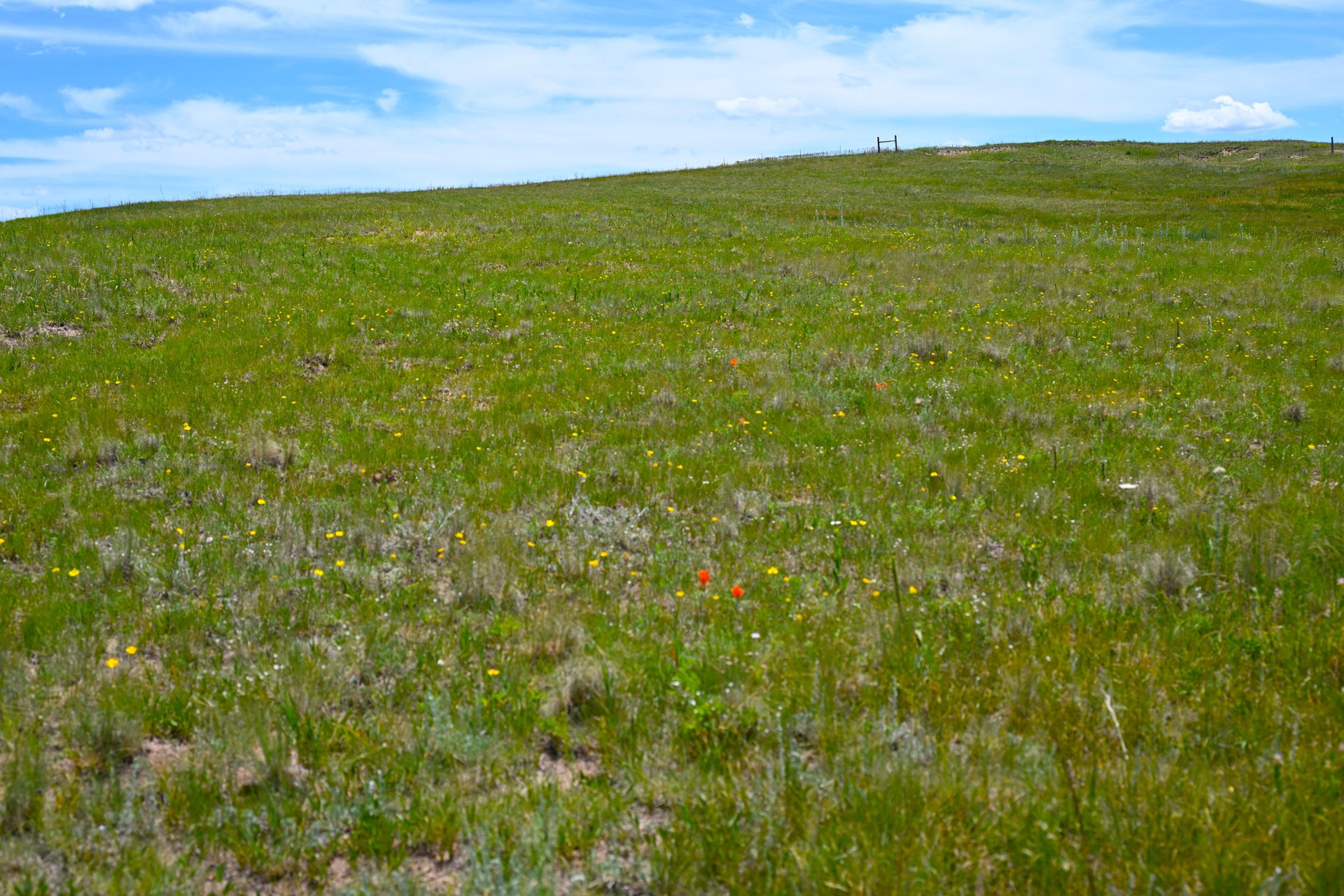 Lot 2 Steppler Road
