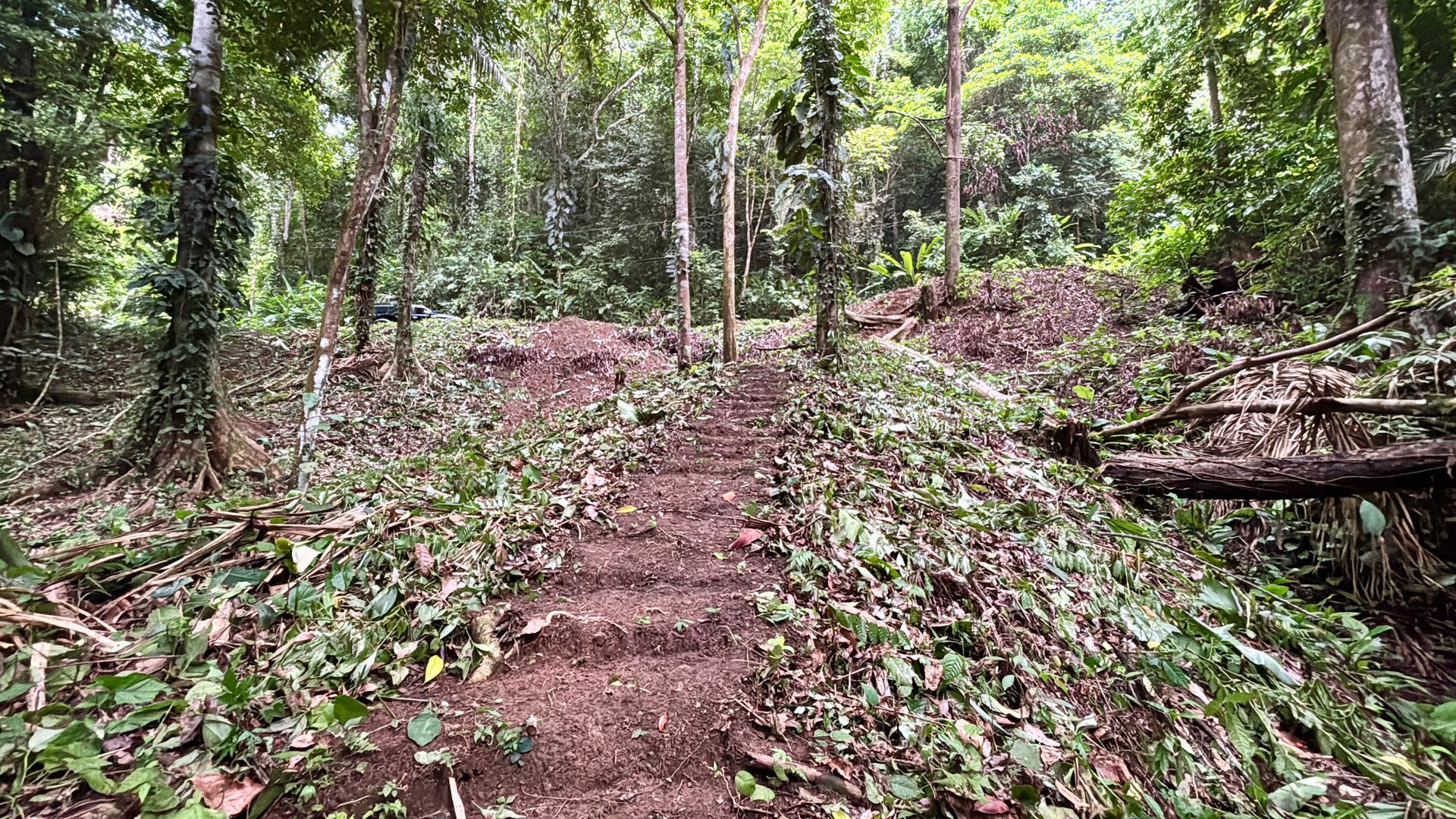 Unique property with creek and waterfall in lush jungle