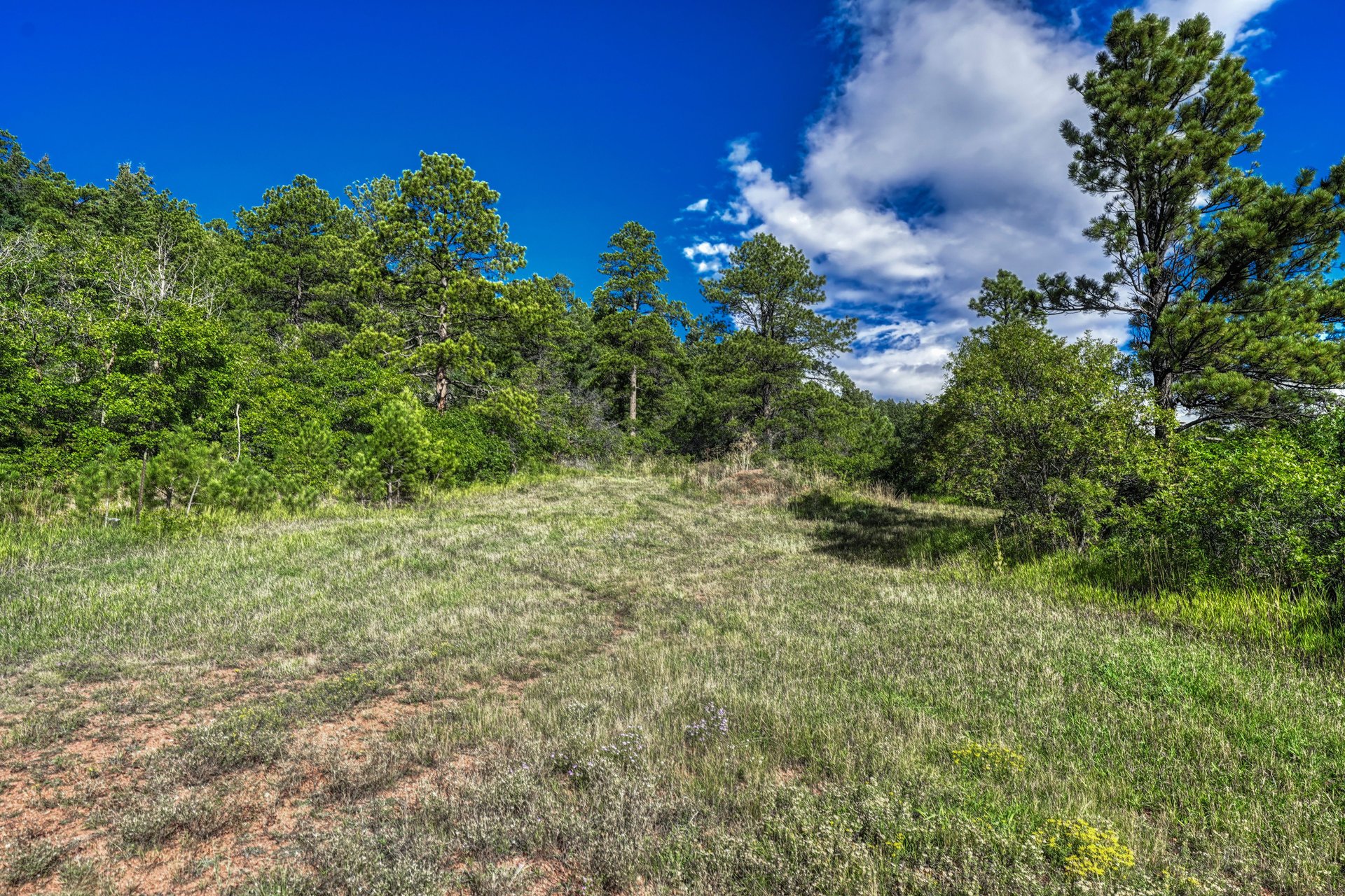 00 Columbine Road