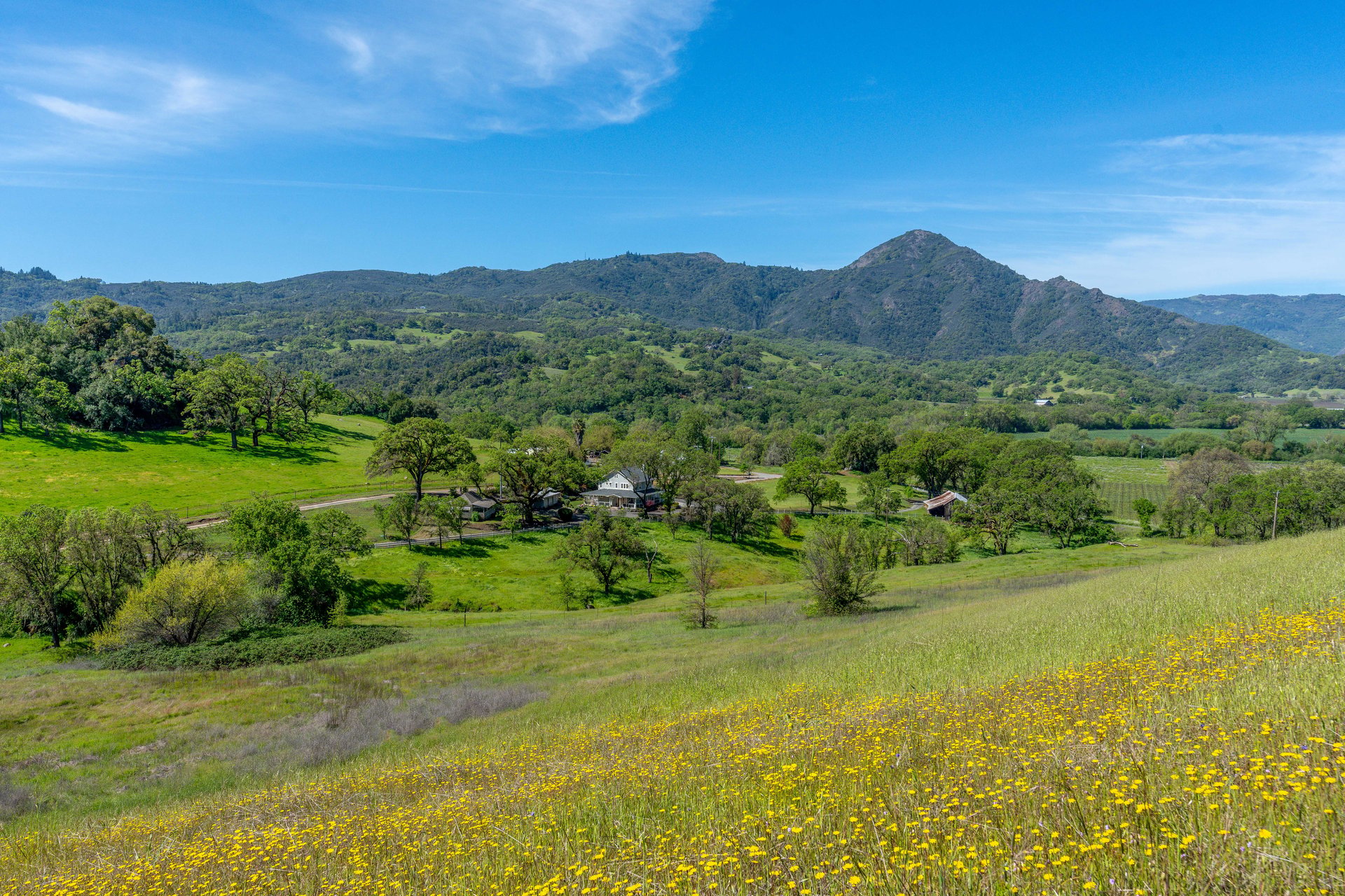 The Hopland Hills Ranch