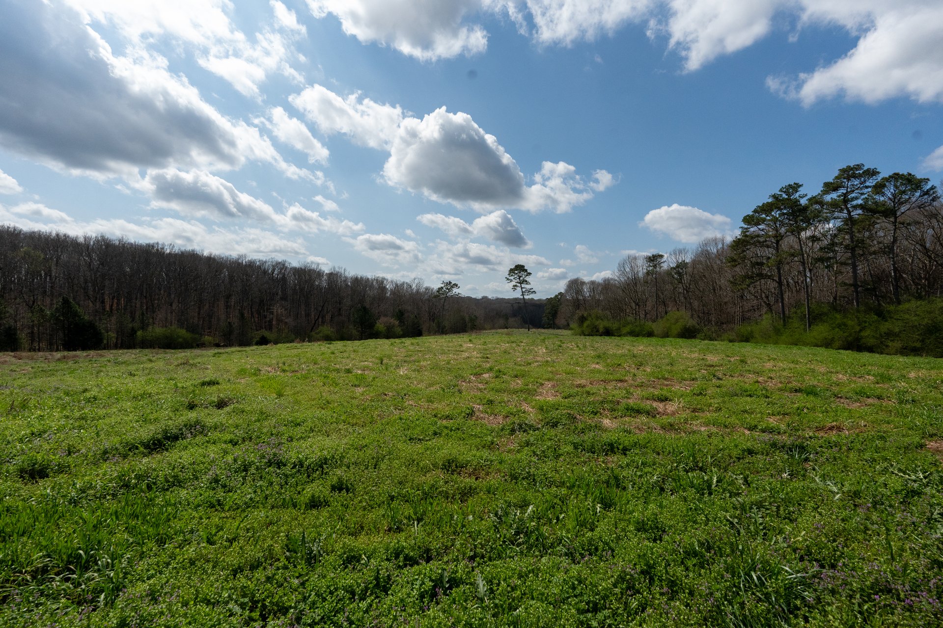 The Ranches at Sandy Creek