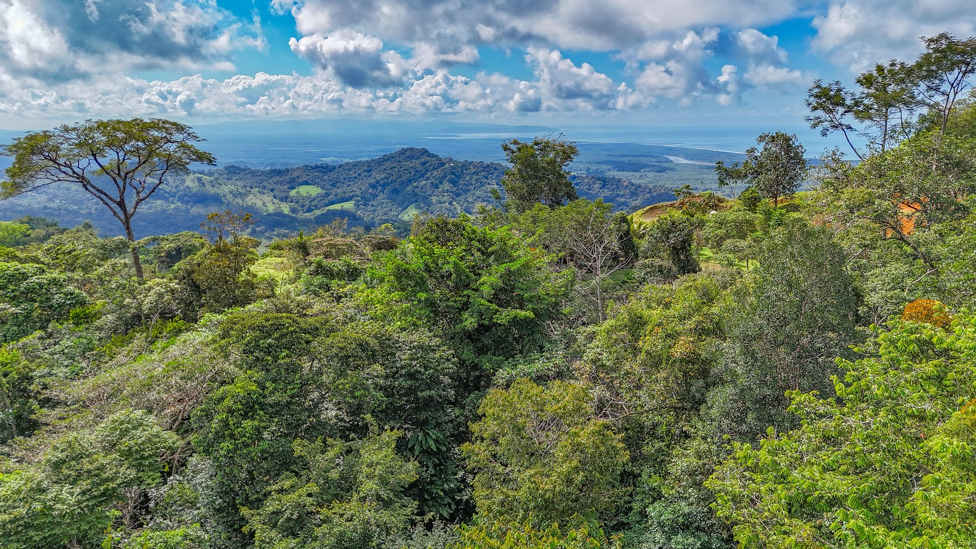 Jungle Retreat with River, Views & 2 Homes in Tres Rios