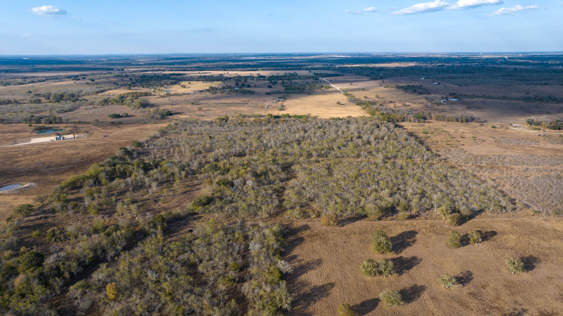 Gonzales County | 104+/- Acres
