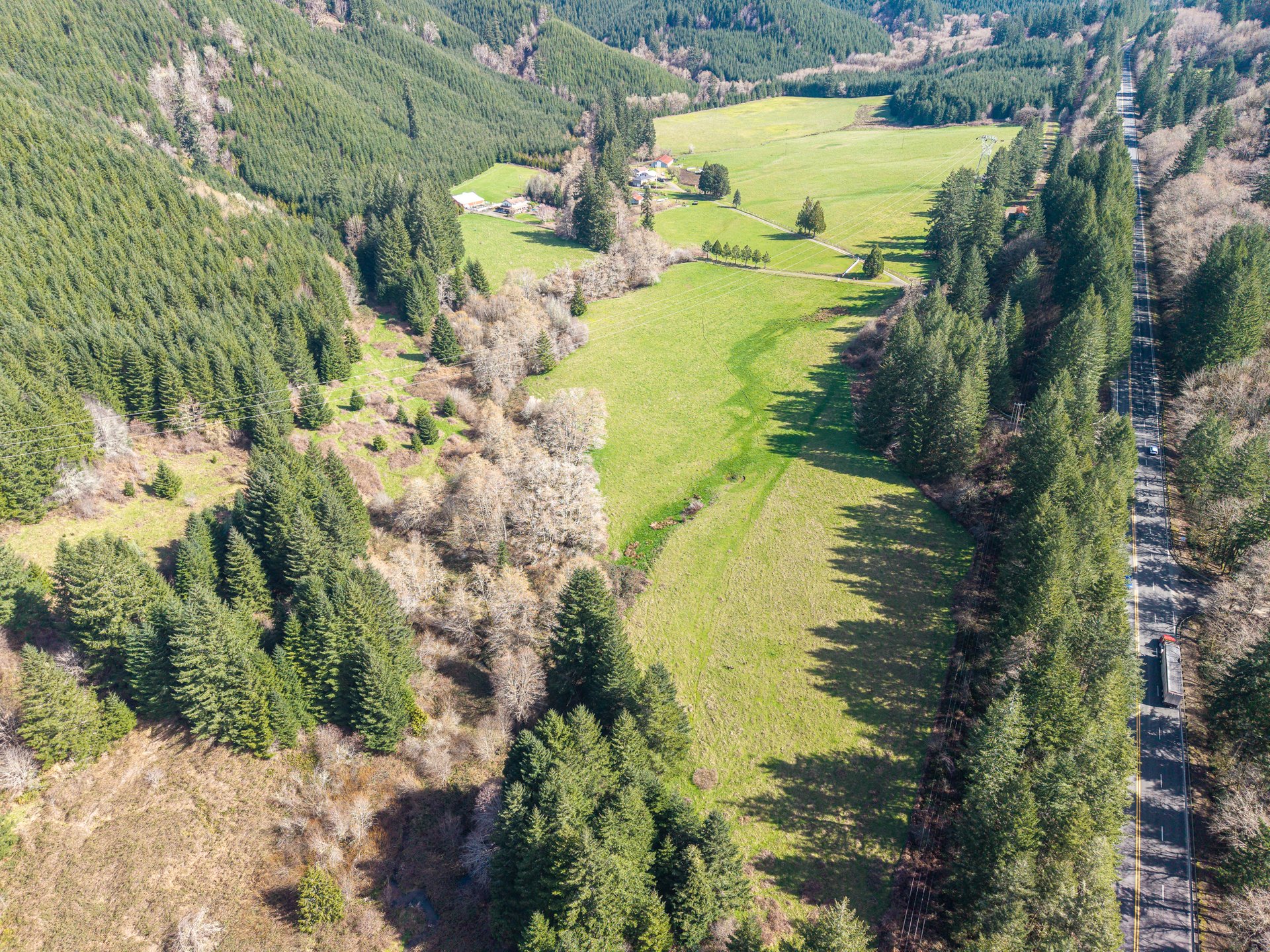 LITTLE ELK TREEFARM