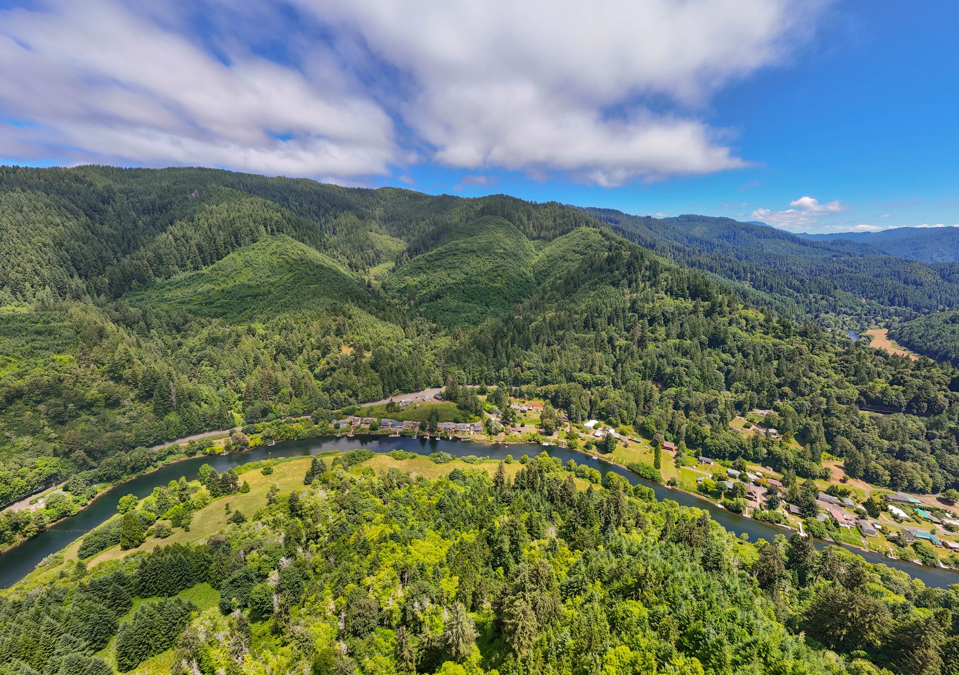 MILL CREEK FOREST