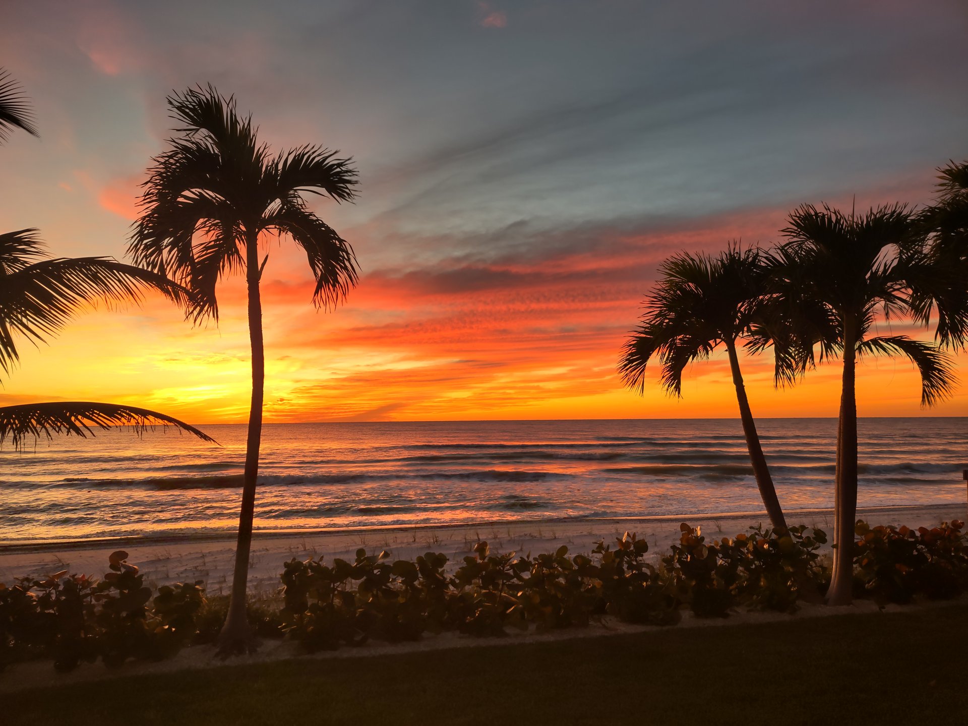 SURFSIDE 301