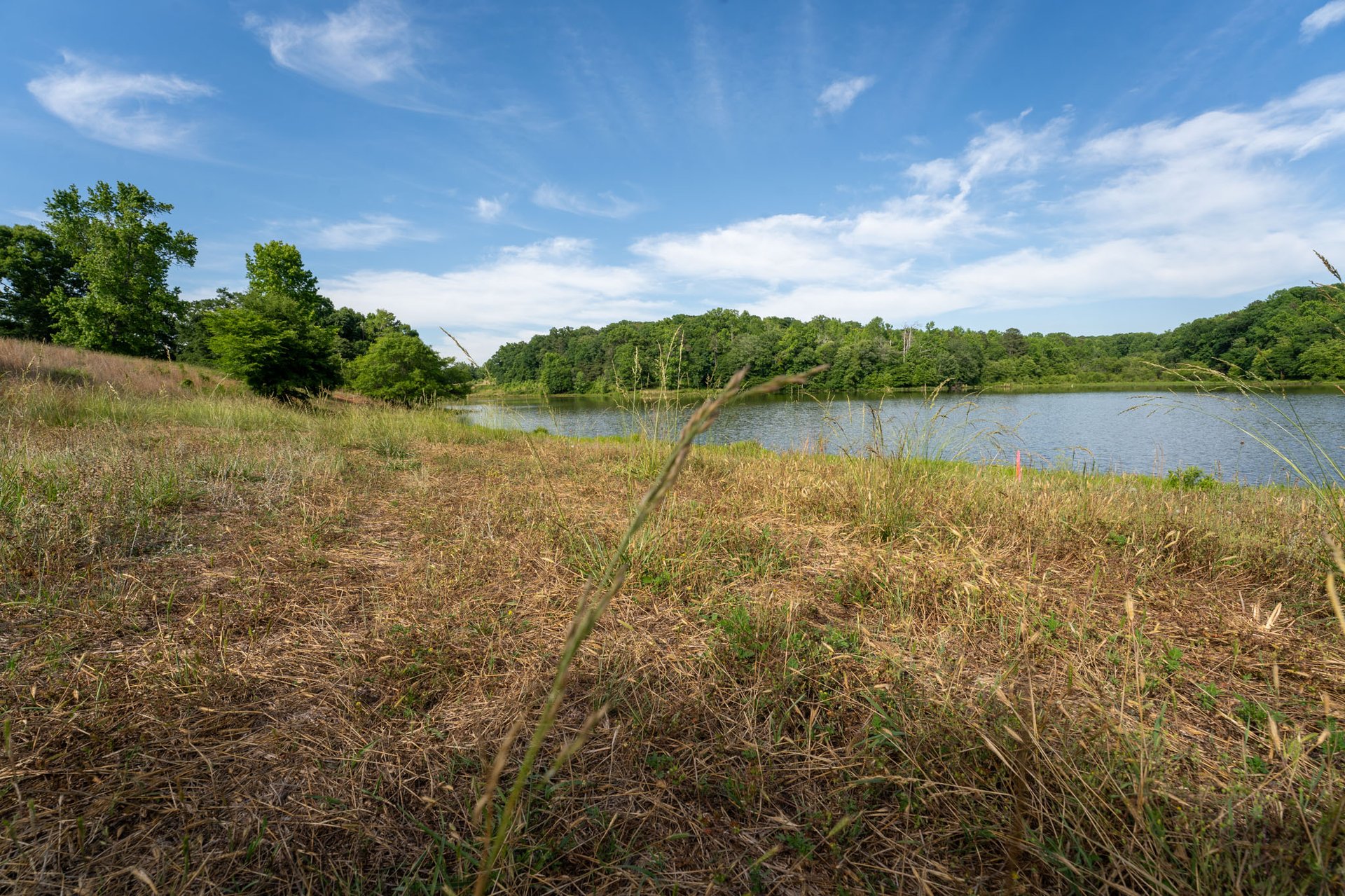 The Ranches at Sandy Creek