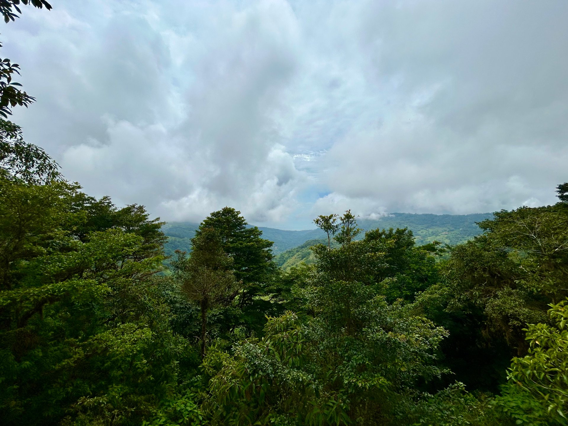 The Last of Its Kind Property in San Luis de Morete, Over 1.53 Acres