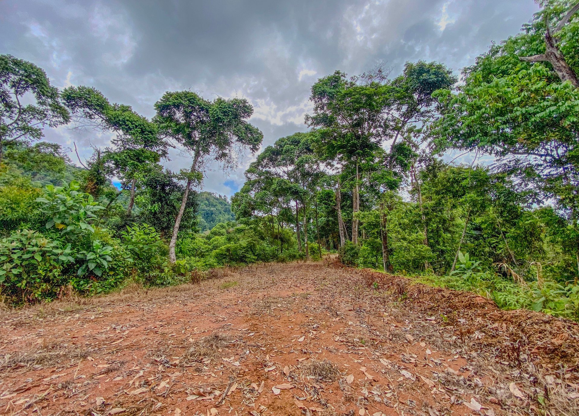 59.35 ACRES- Ocean And Mountain View Land, 6 Building Areas, Legal Water, Public Road, 20min From Beaches!!!