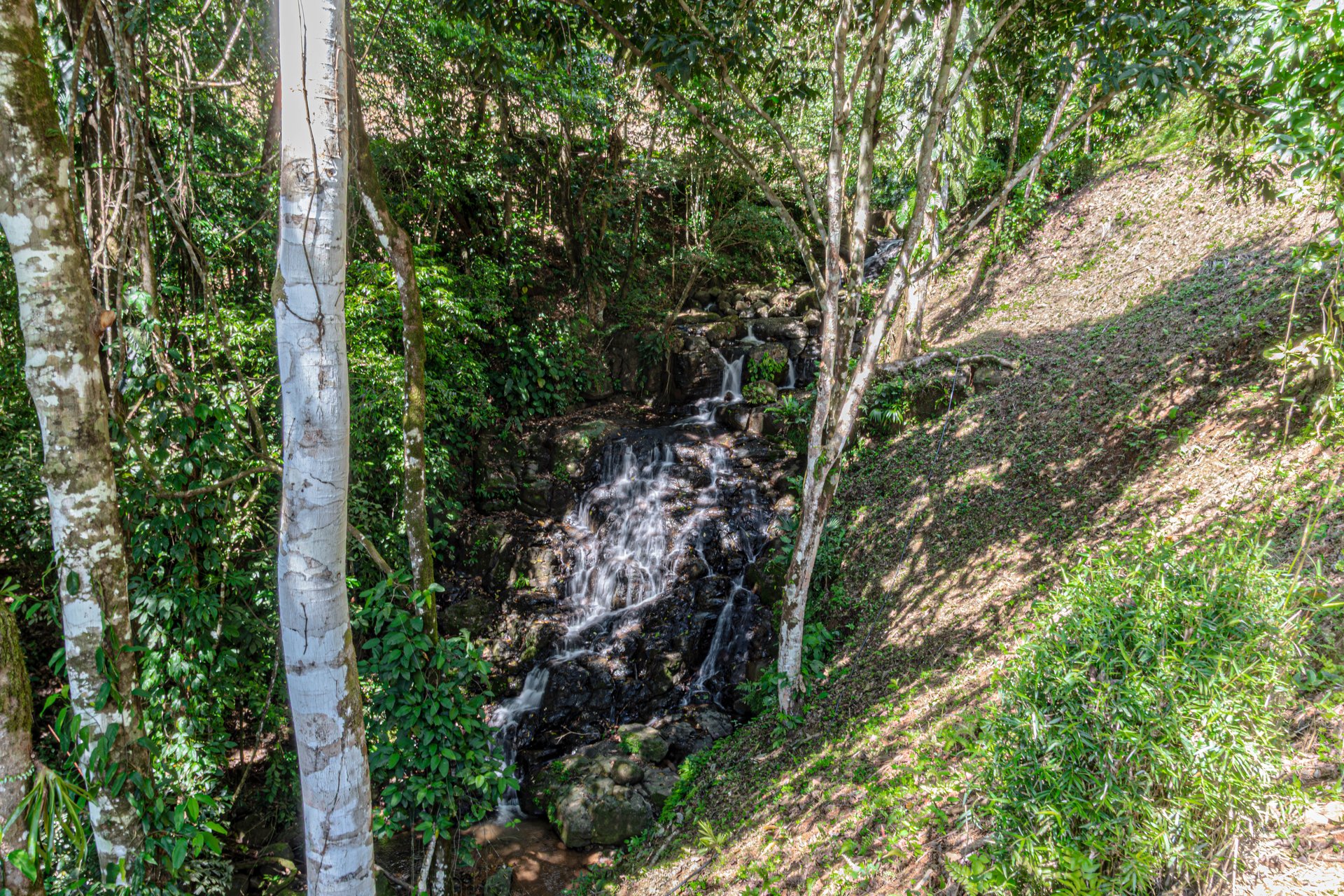A Rare Thermal-Wellness Development Opportunity - Cacao Estates