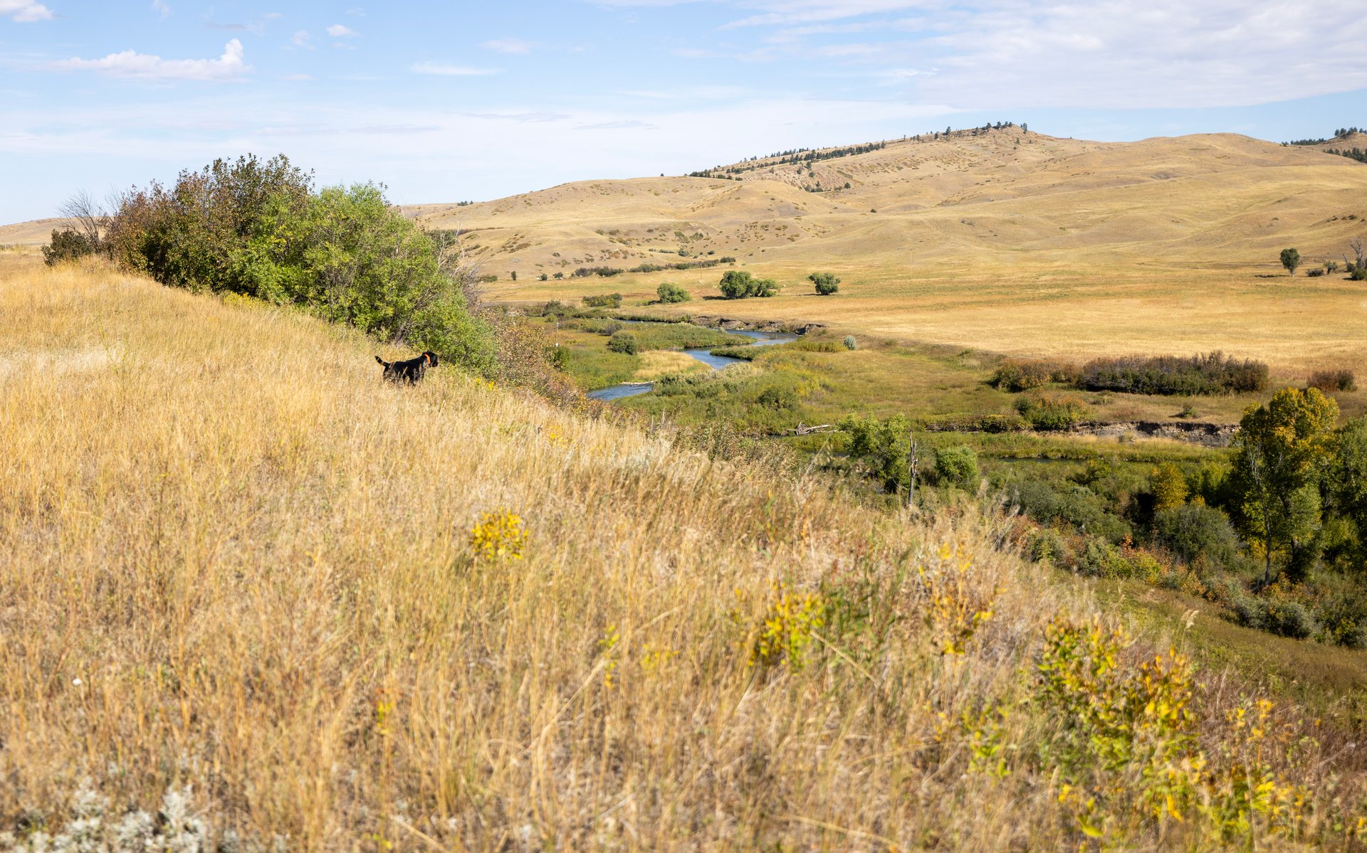 Big Spring Legacy Ranch