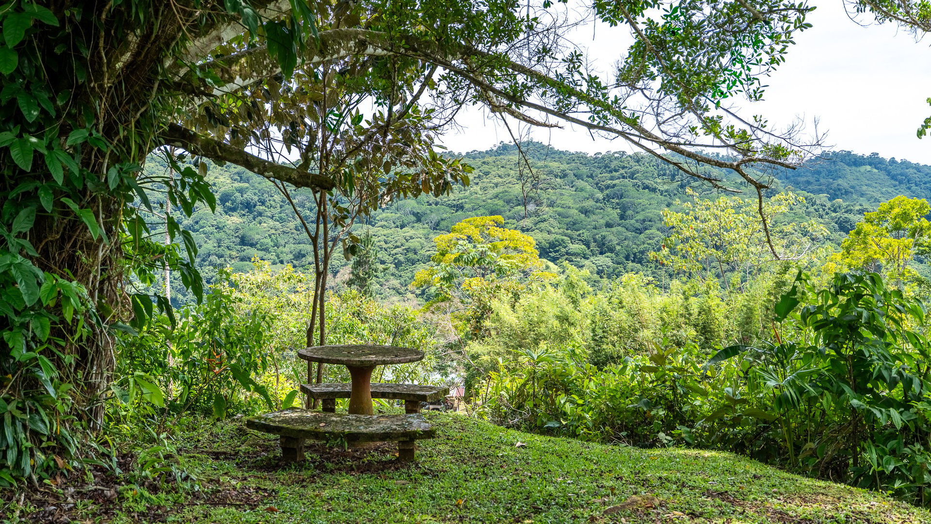 Mountain Home with Guest Cabin & Additional Building Site Near Nauyaca Waterfalls