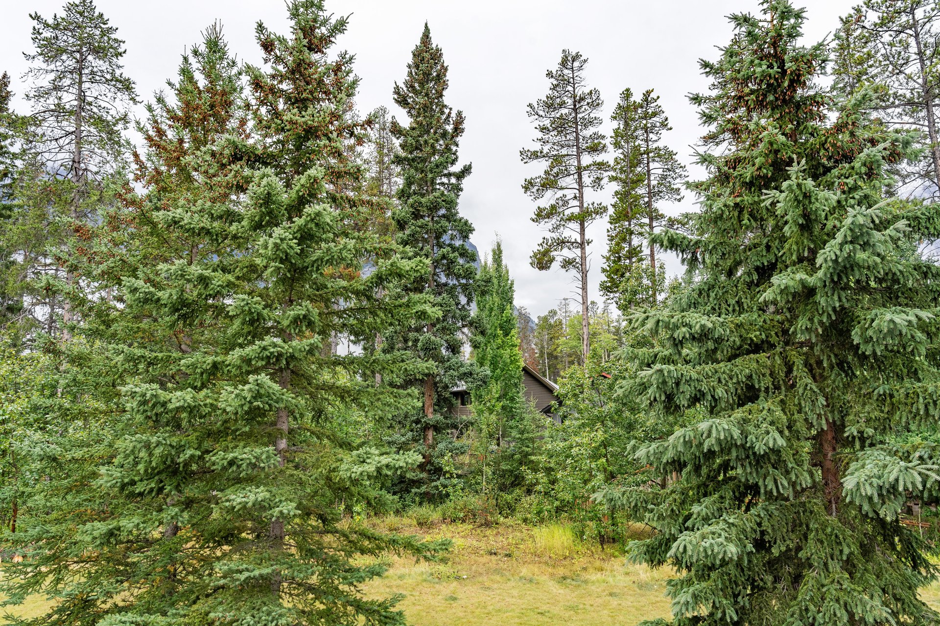 1022 Rundleview Drive Unit: 27