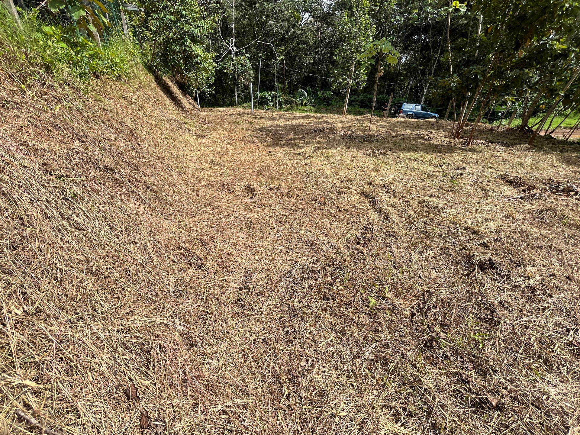 Affordable Uvita Lot UNDER $200-per-sqm - Perfect for Your Dream Home or Airbnb Investment