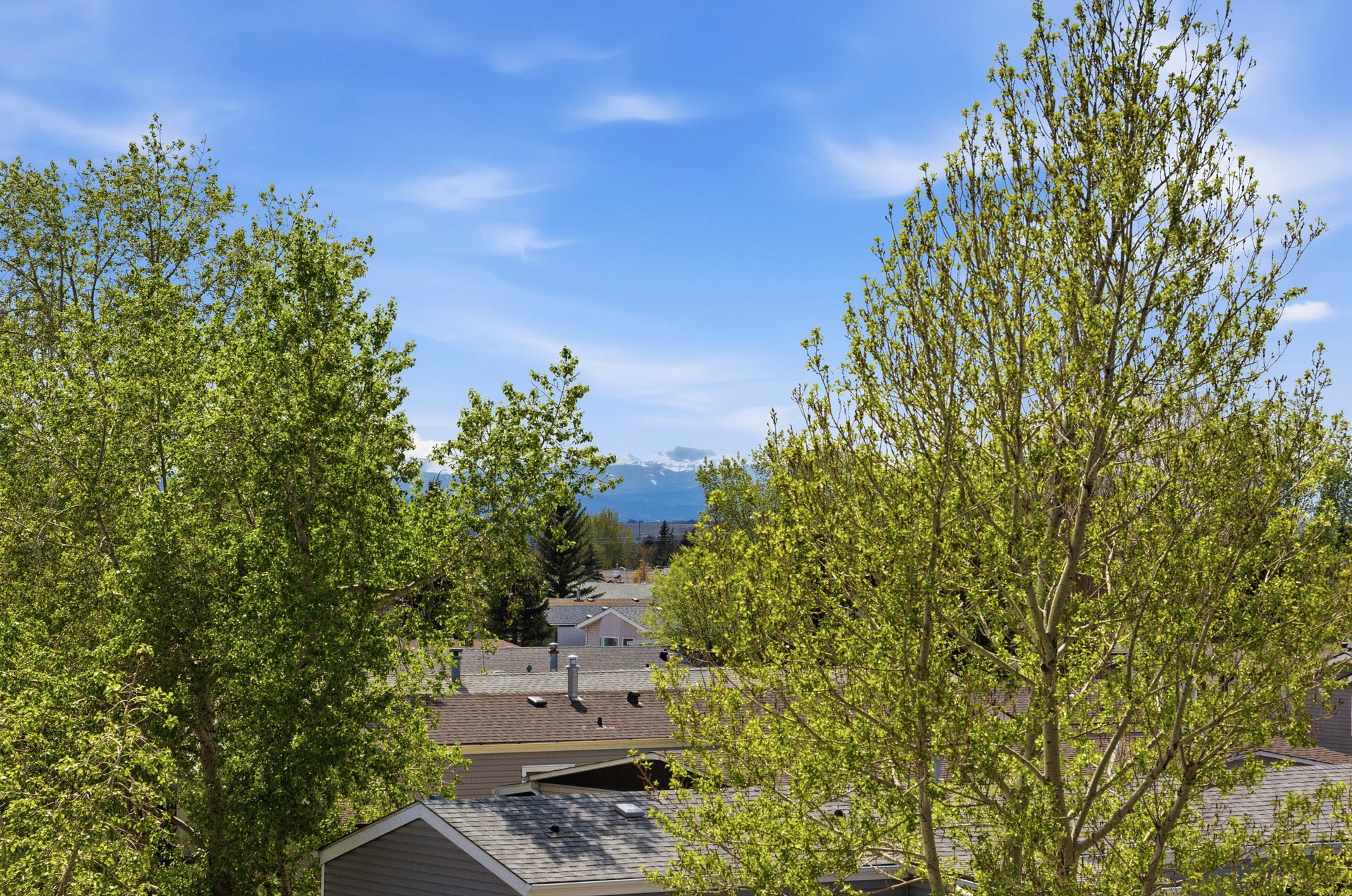 81 Arbour Lake View NW Unit: 1306