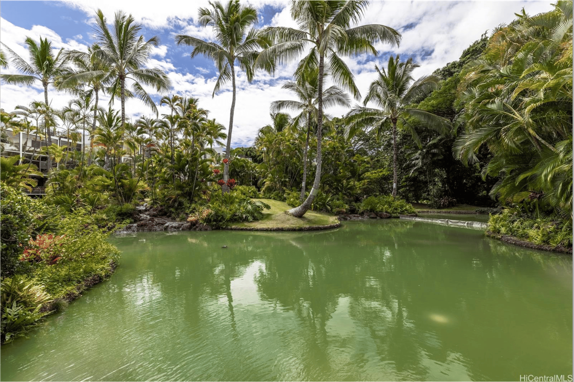 Windward Cove | Kailua Town