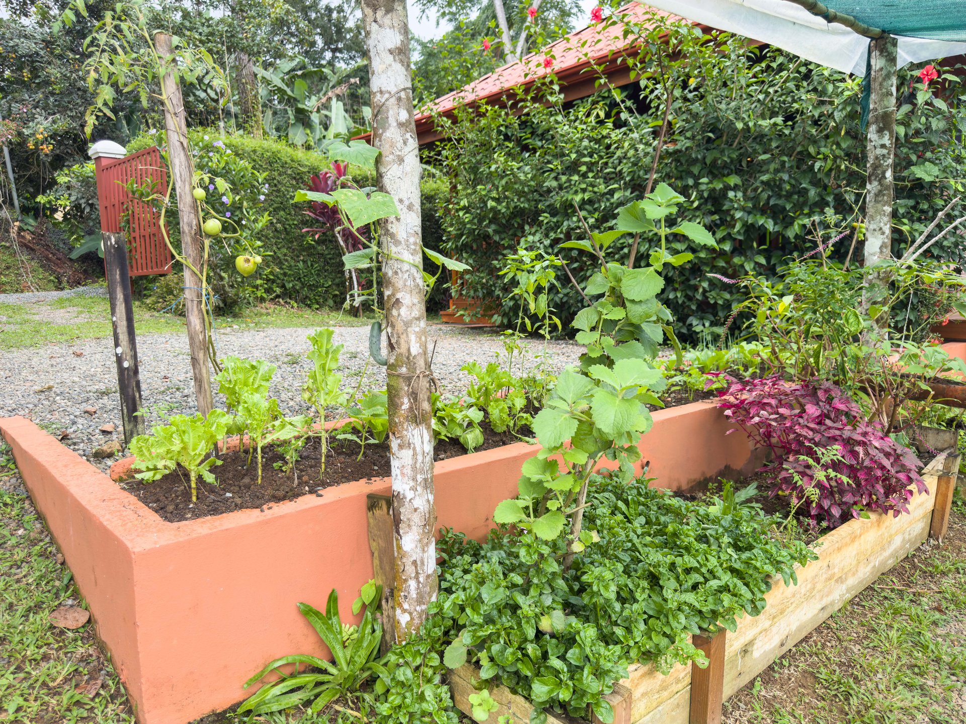 Tinamastes Eco Orchard | Creekside 2BR Home + Studio Casita